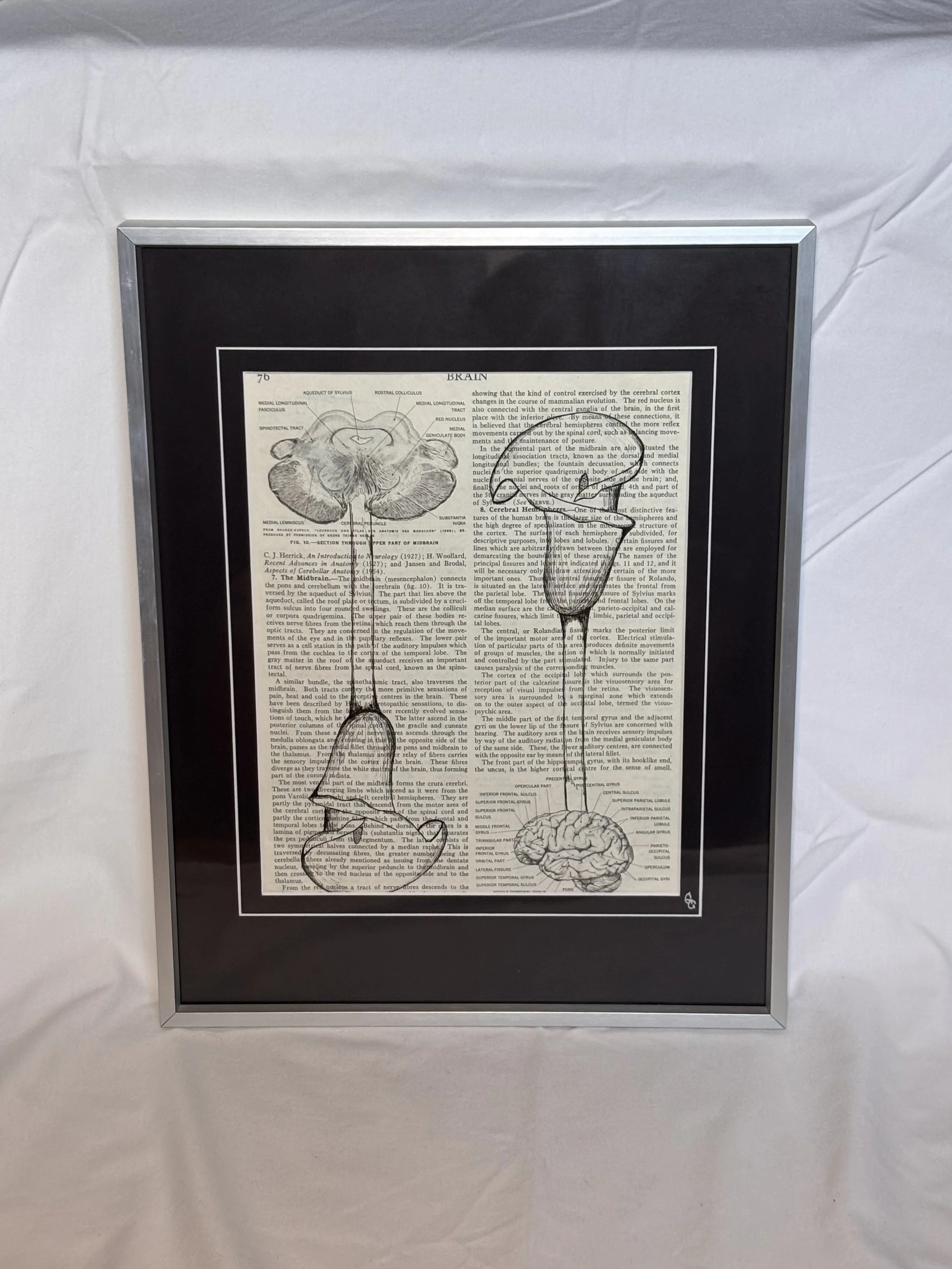 Ink drawing on book page of calla lilies coming out of drawings of the human brain, emo dark academia floral art