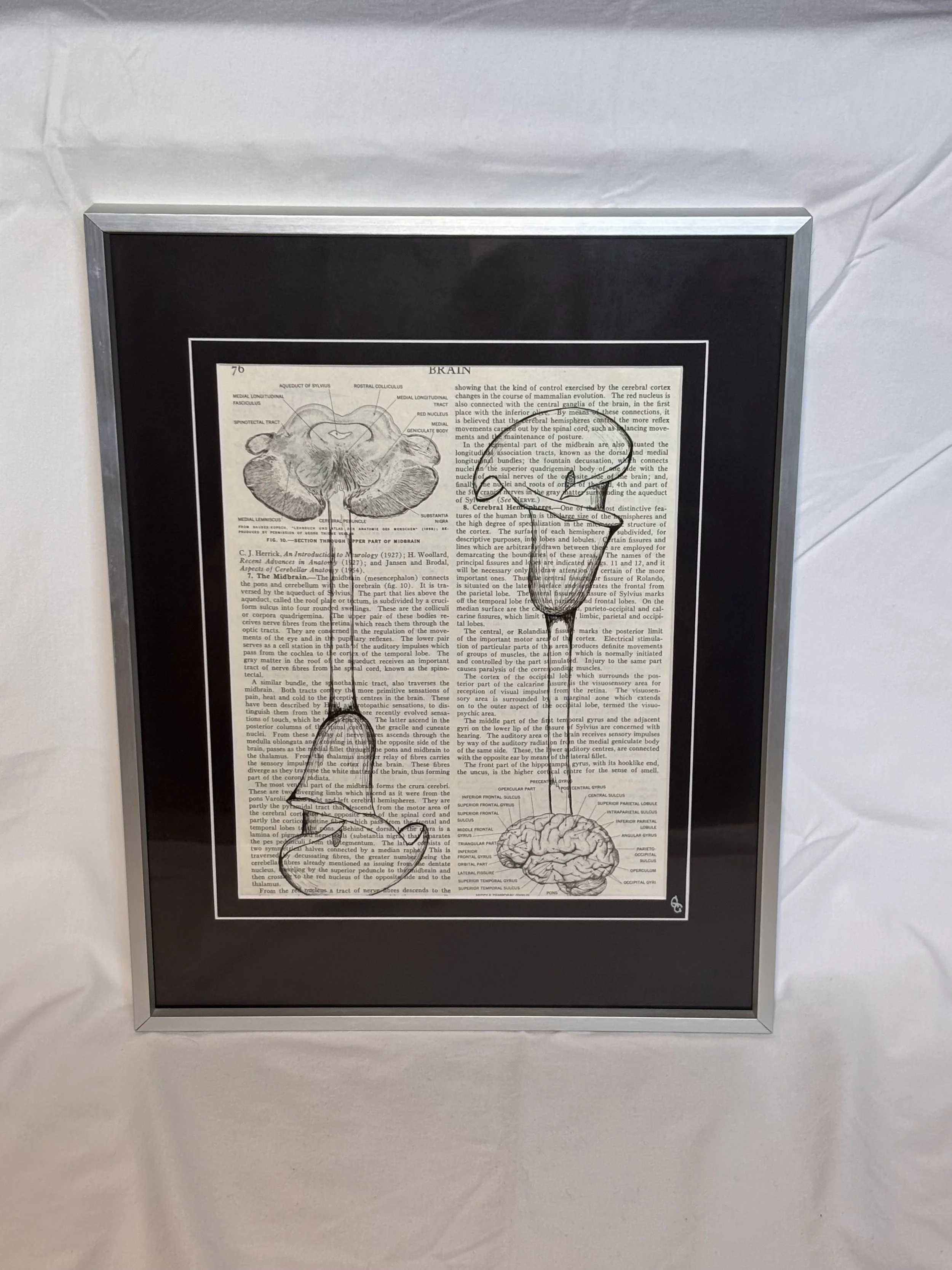 Original Ink drawing on book page of calla lilies coming out of drawings of the human brain, emo dark academia floral art