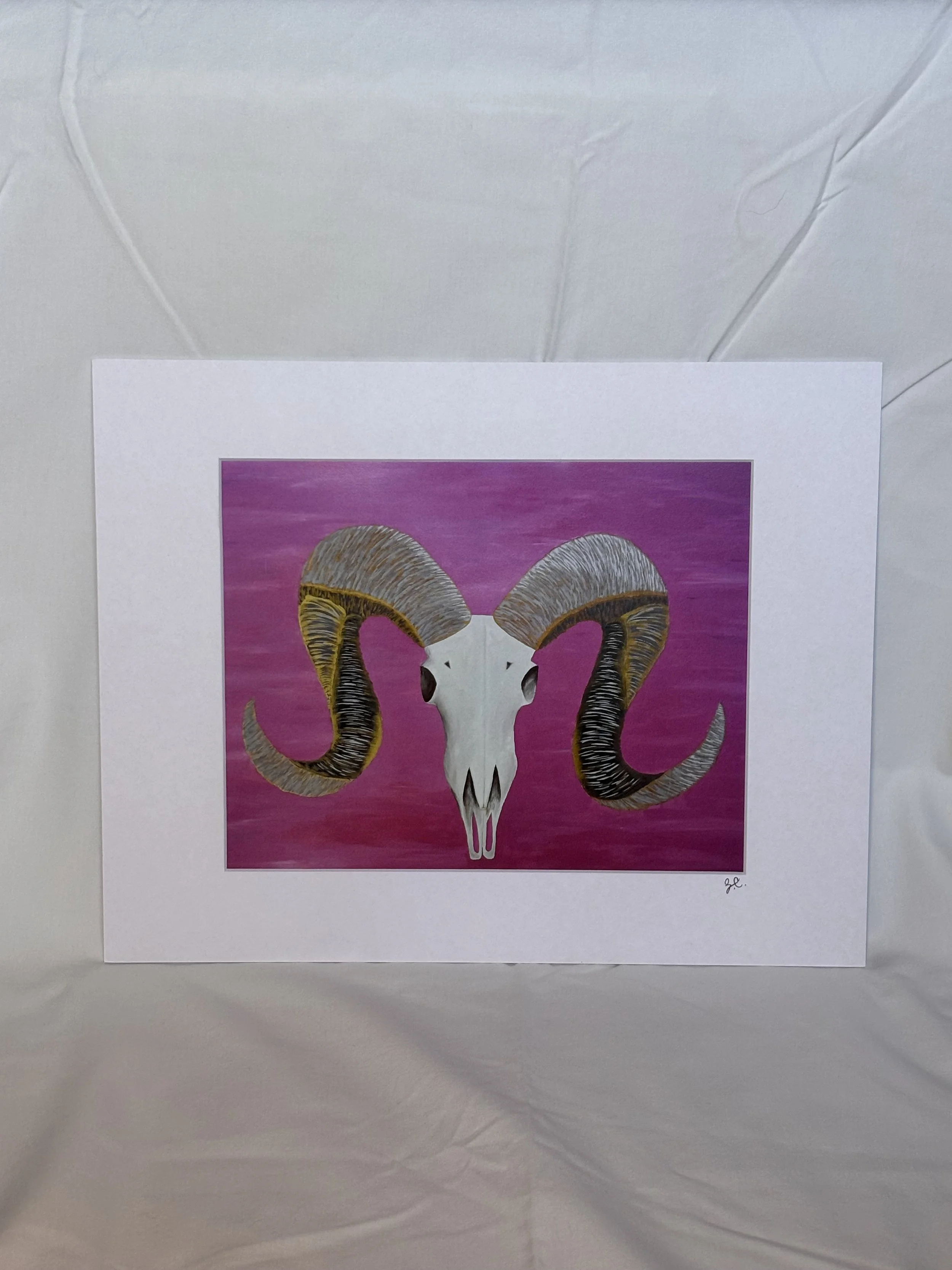 Art print of a ram's skull on a pink background with a white mat border
