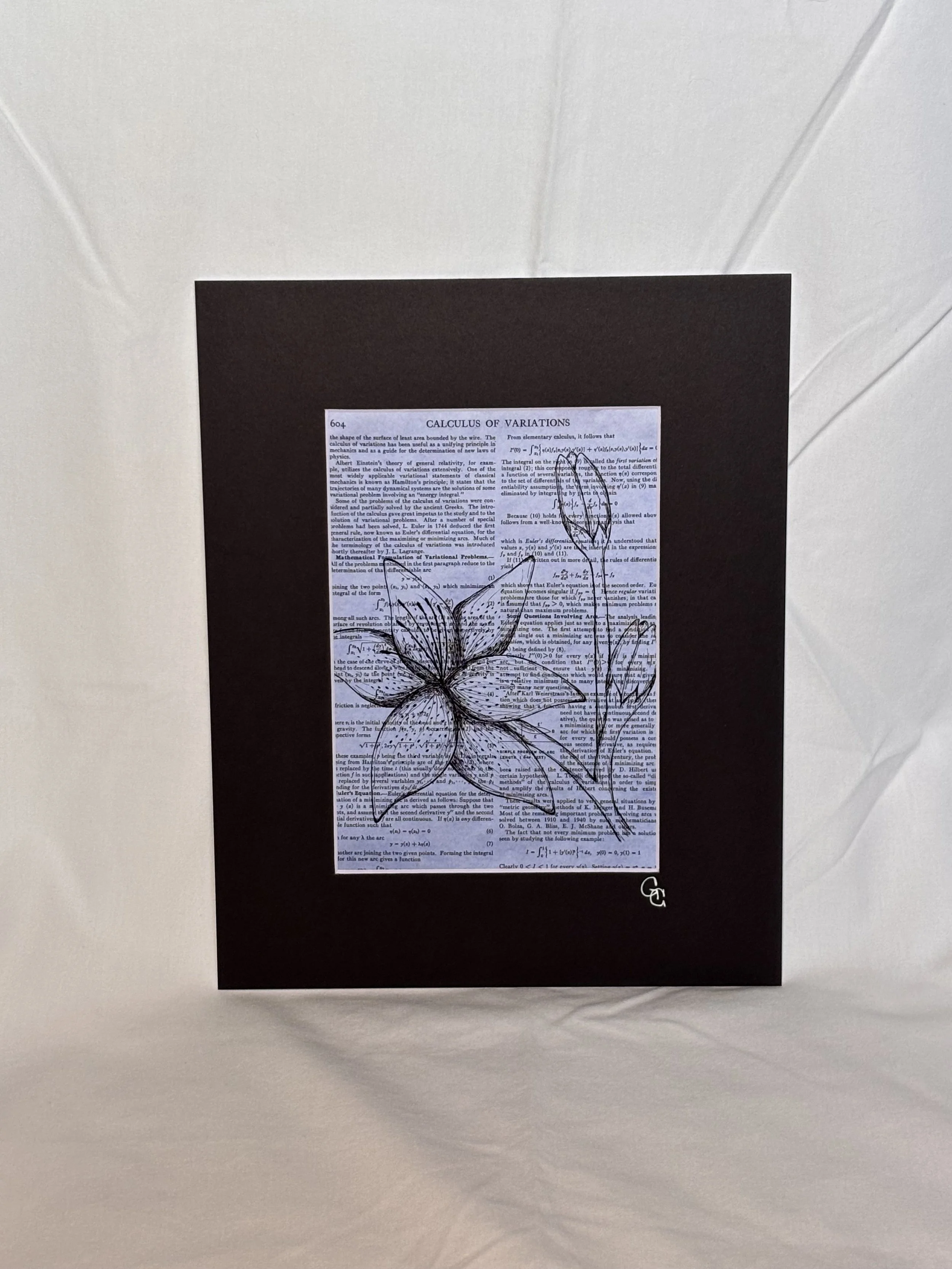 Tiger lily ink drawing on book page art print, floral emo dark academia art