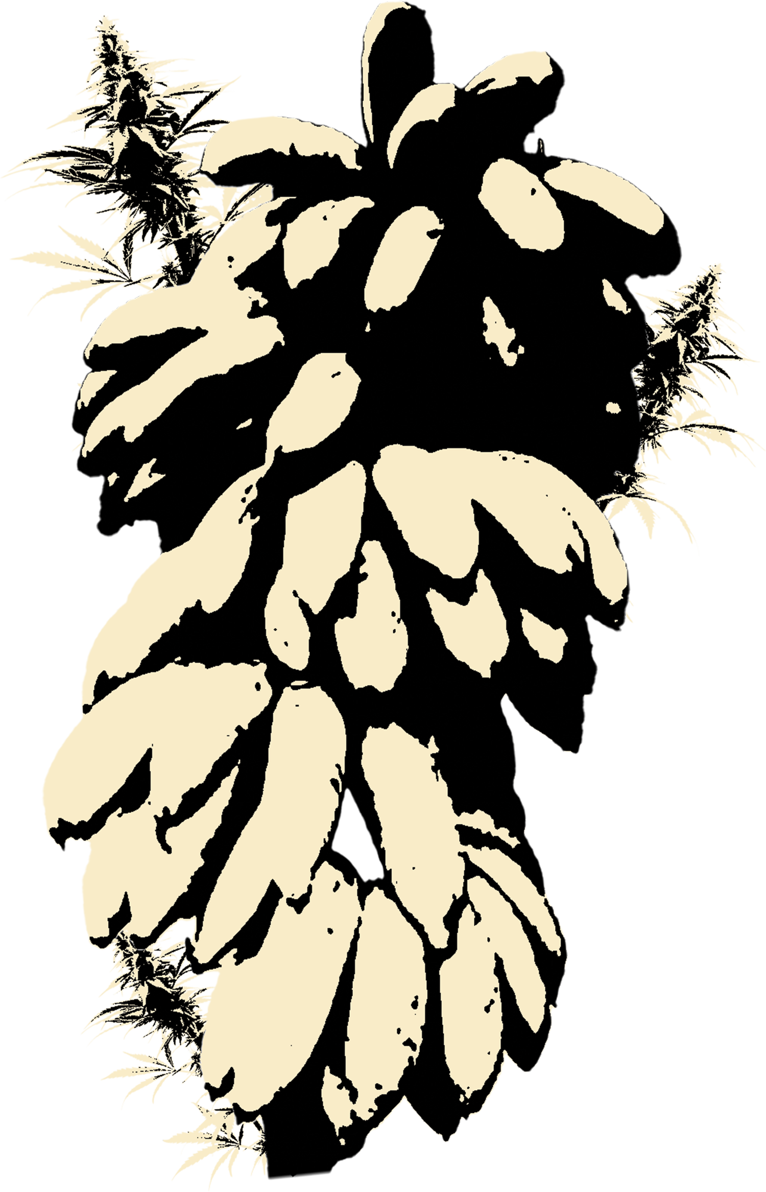 Canna Banana Company 