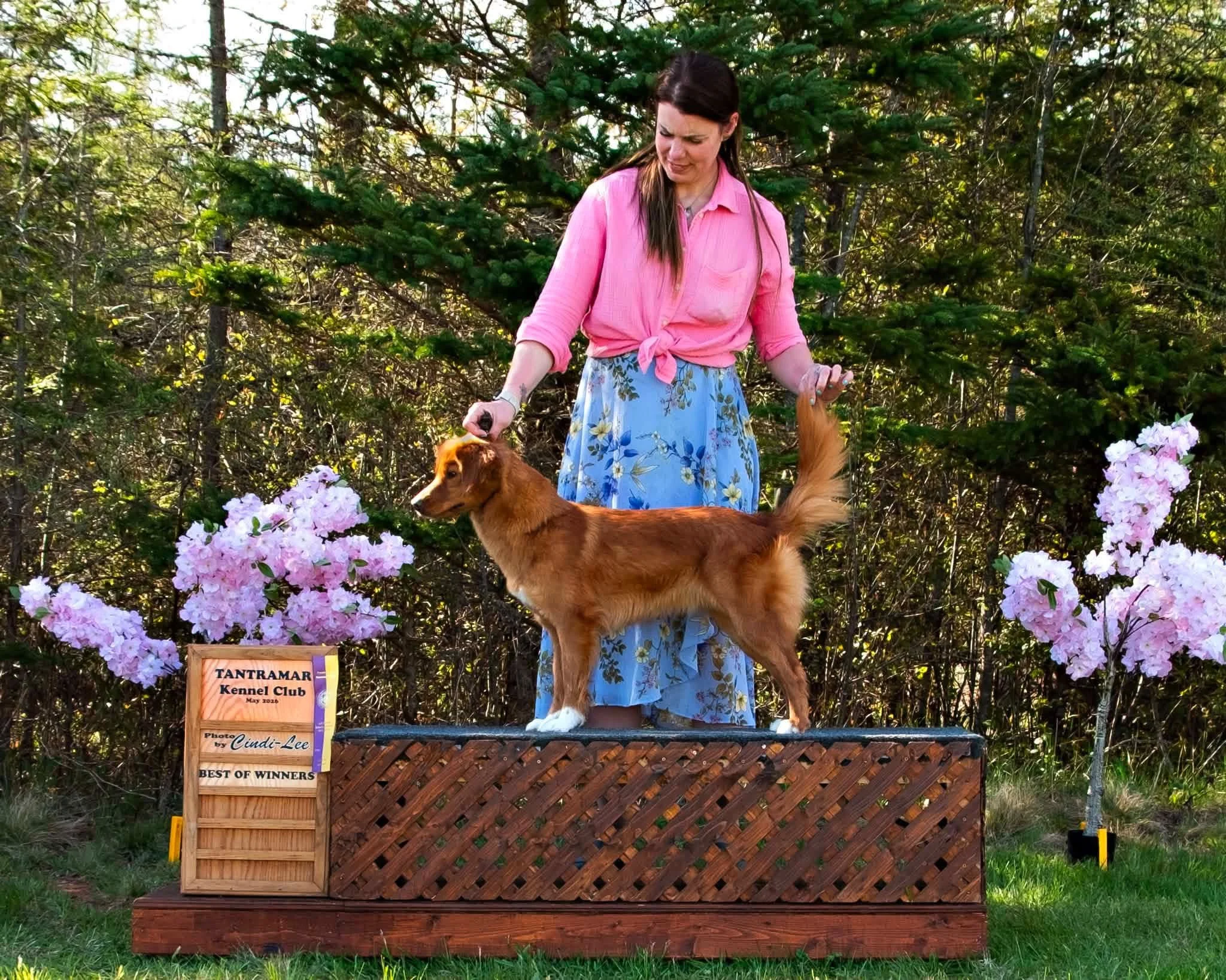 Tantramar Kennel Club. - May 16, May 17, 2026.