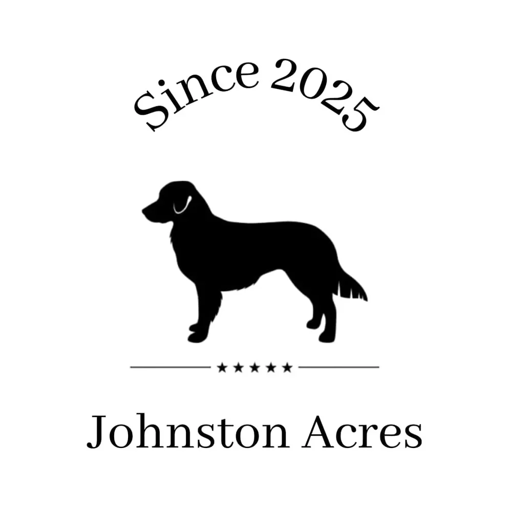 Puppy Home Placement & Matching Services