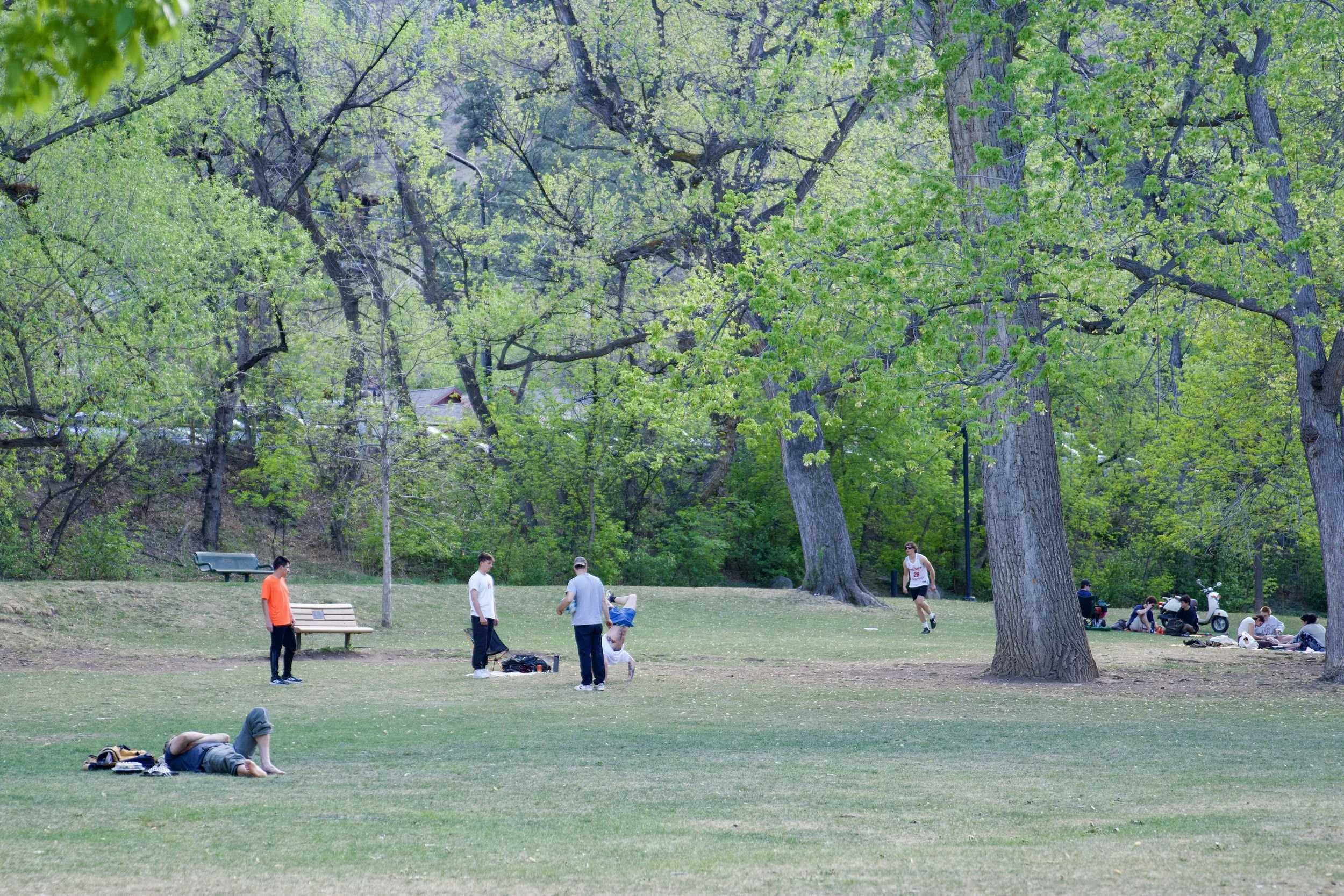 Field.jpg