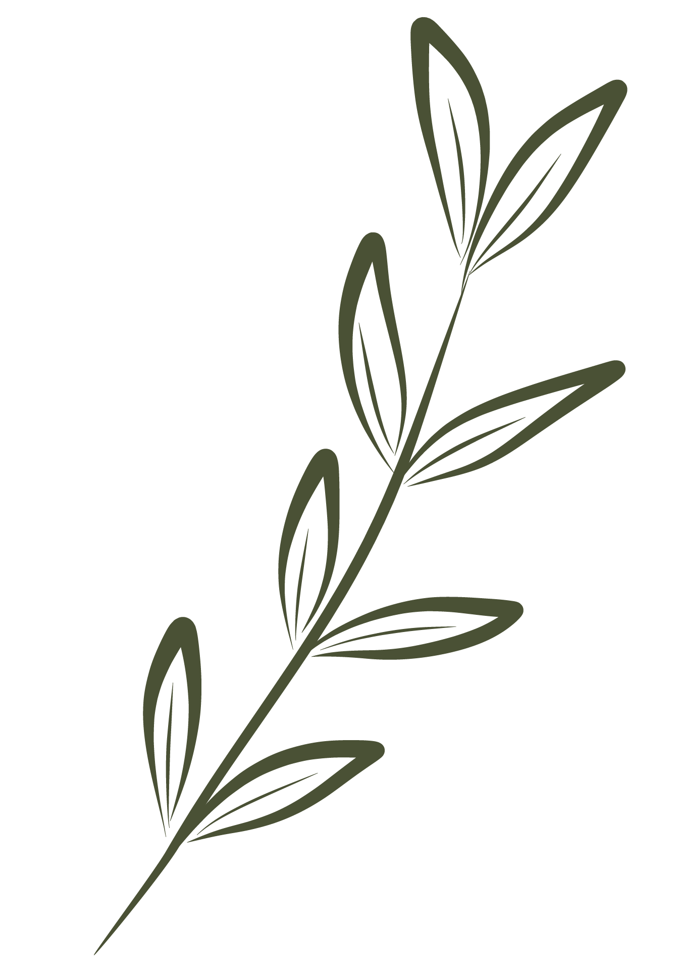 A minimalist illustration of a leafy branch with multiple elongated leaves arranged along a curved stem, in dark green color on a black background.