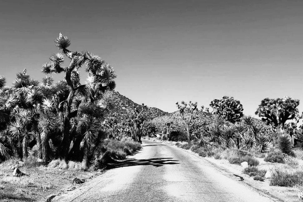 Entrances to Joshua Tree National Park