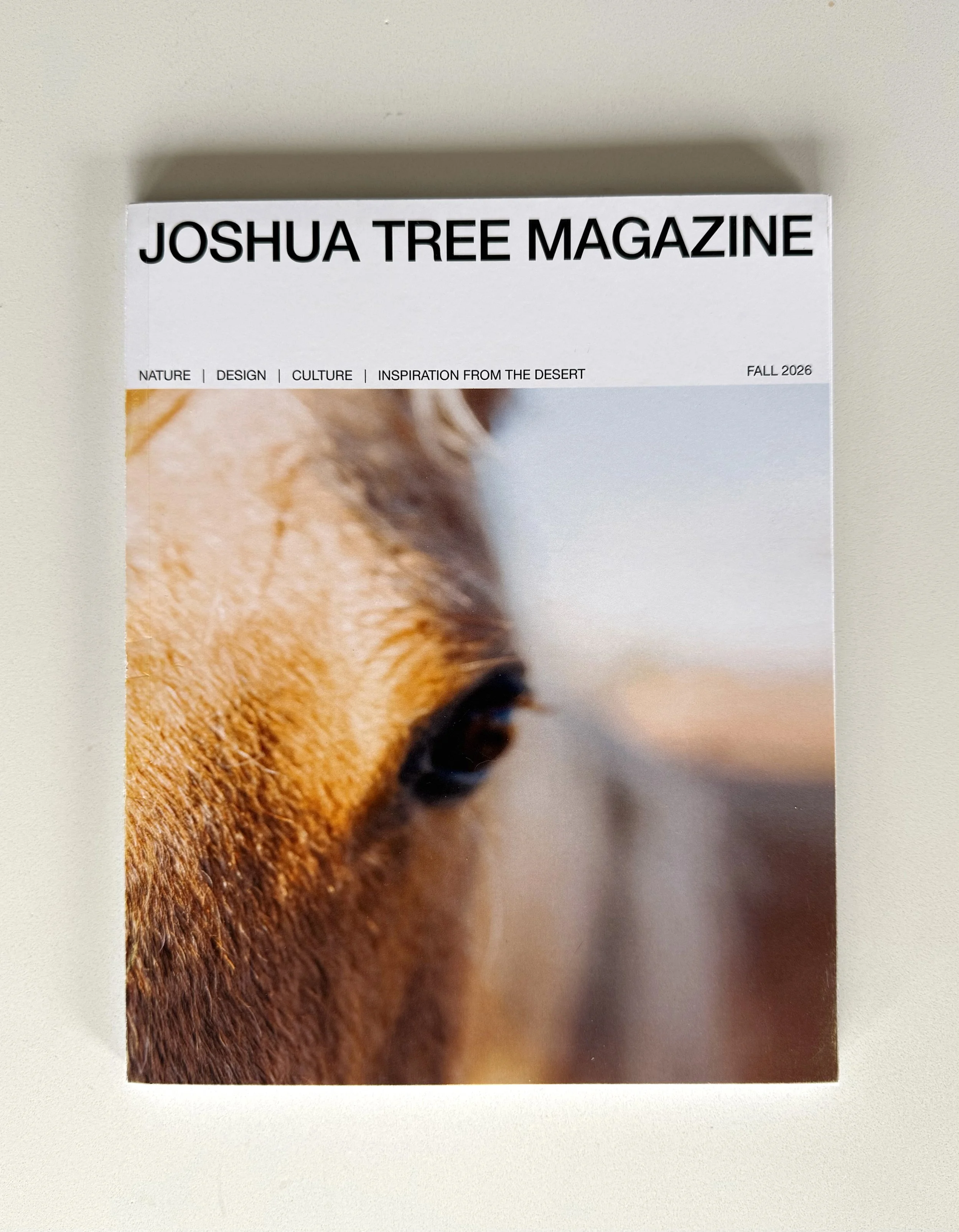 Joshua Tree Magazine Fall 2026