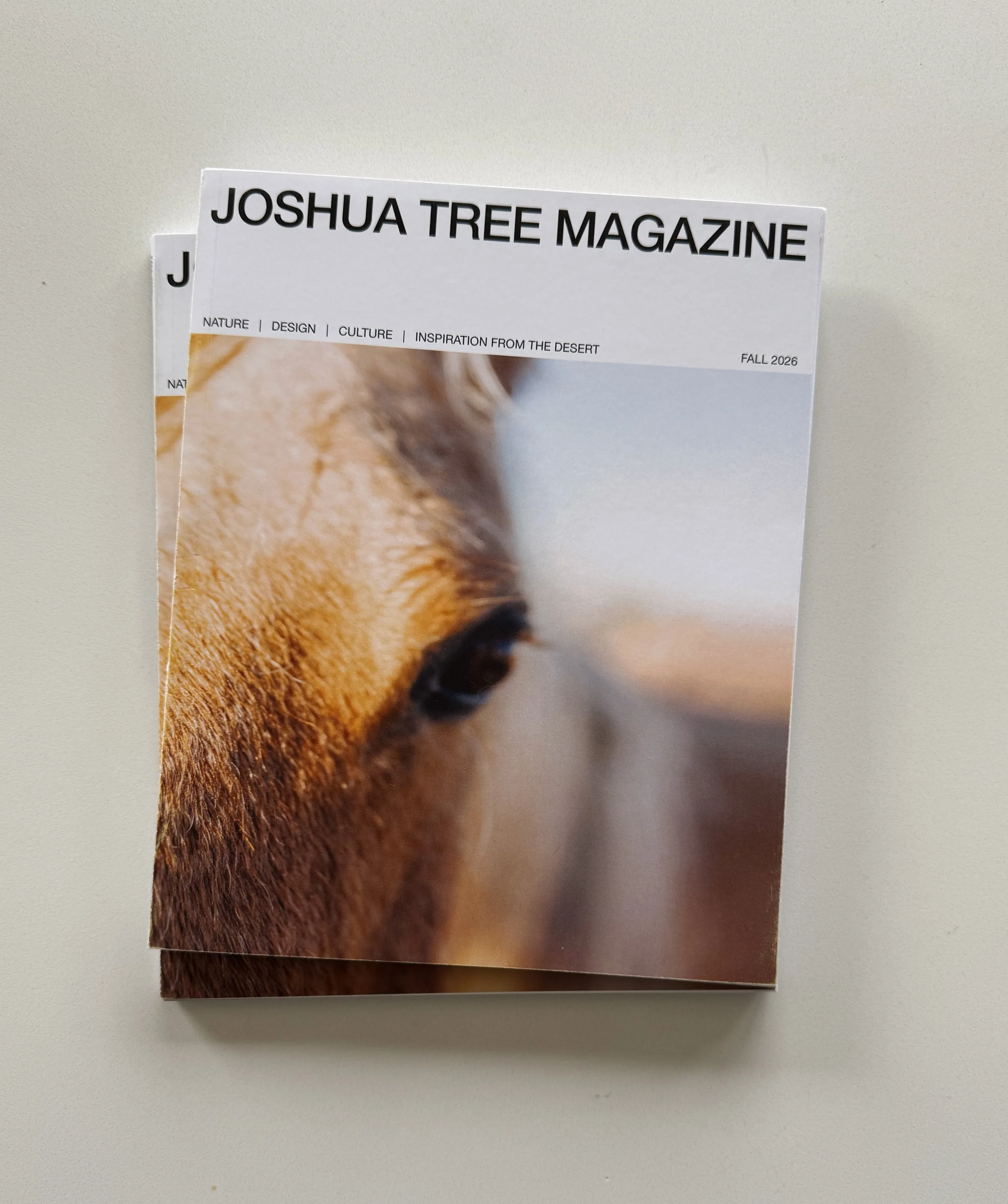 Annual Subscription
