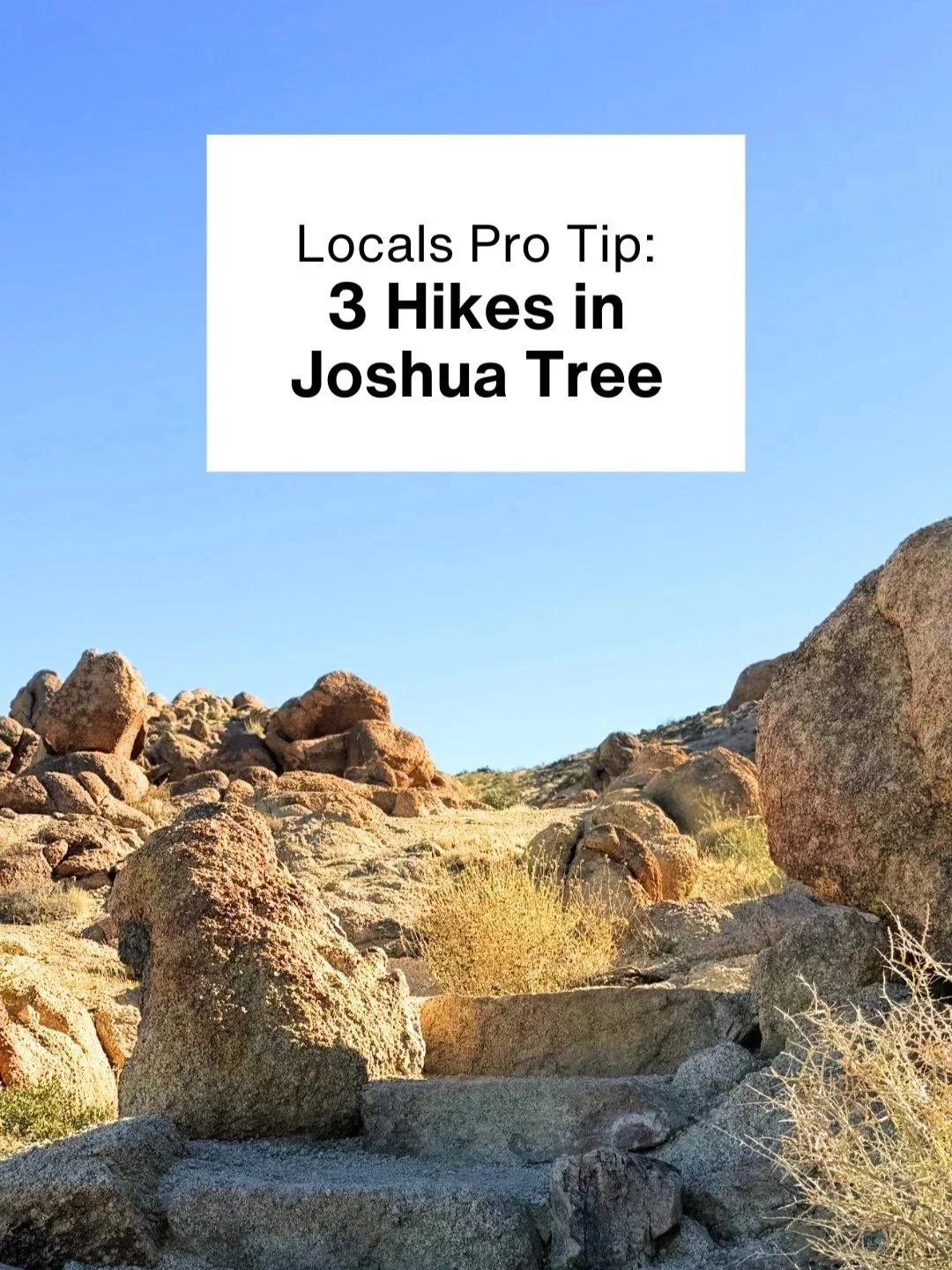 A hiking trail in a desert landscape with boulders. Text overlay reads: "Locals Pro Tip: 3 Hikes in Joshua Tree."