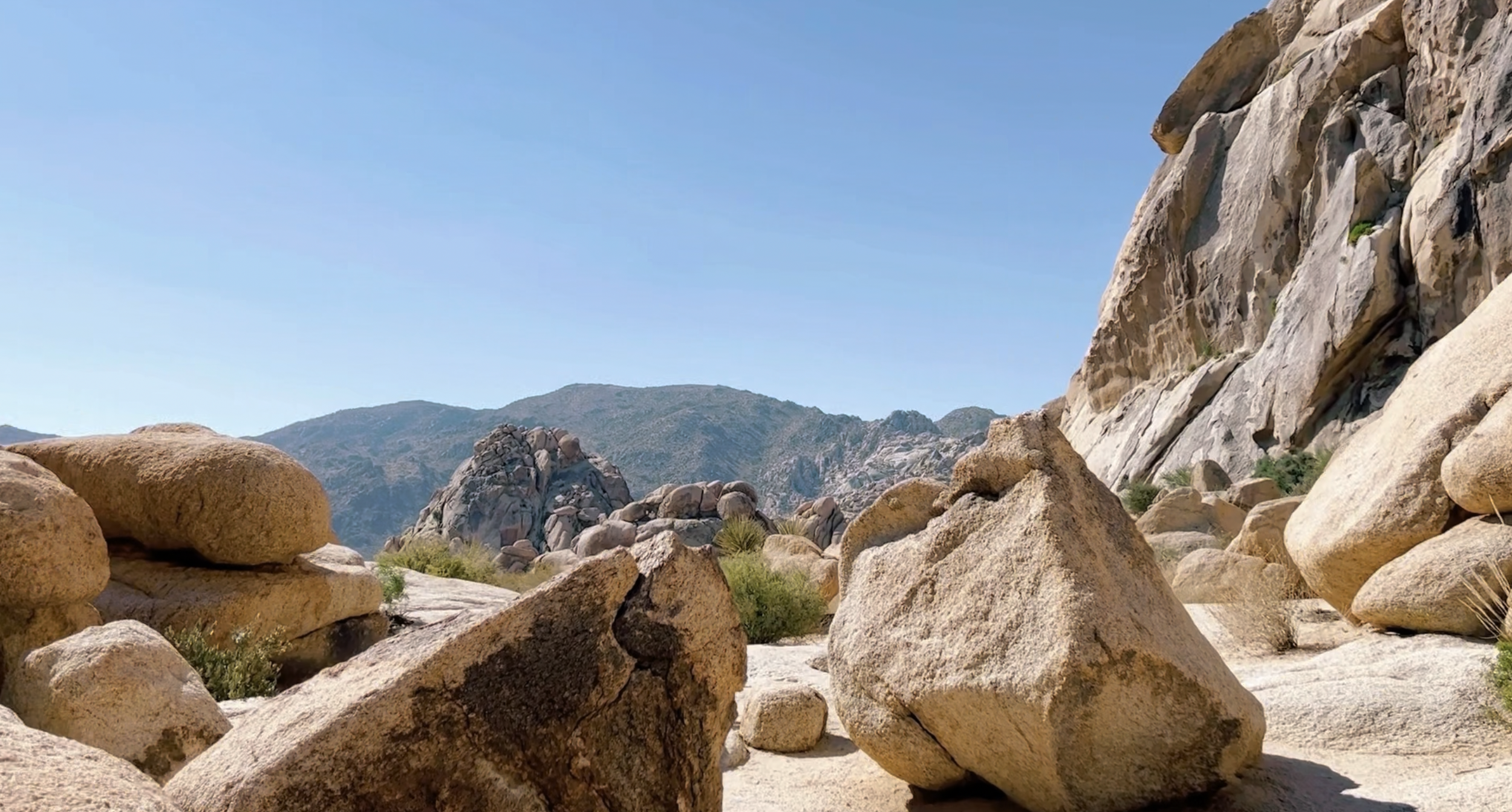 Indian Cove rock climbing area in Joshua Tree National Park