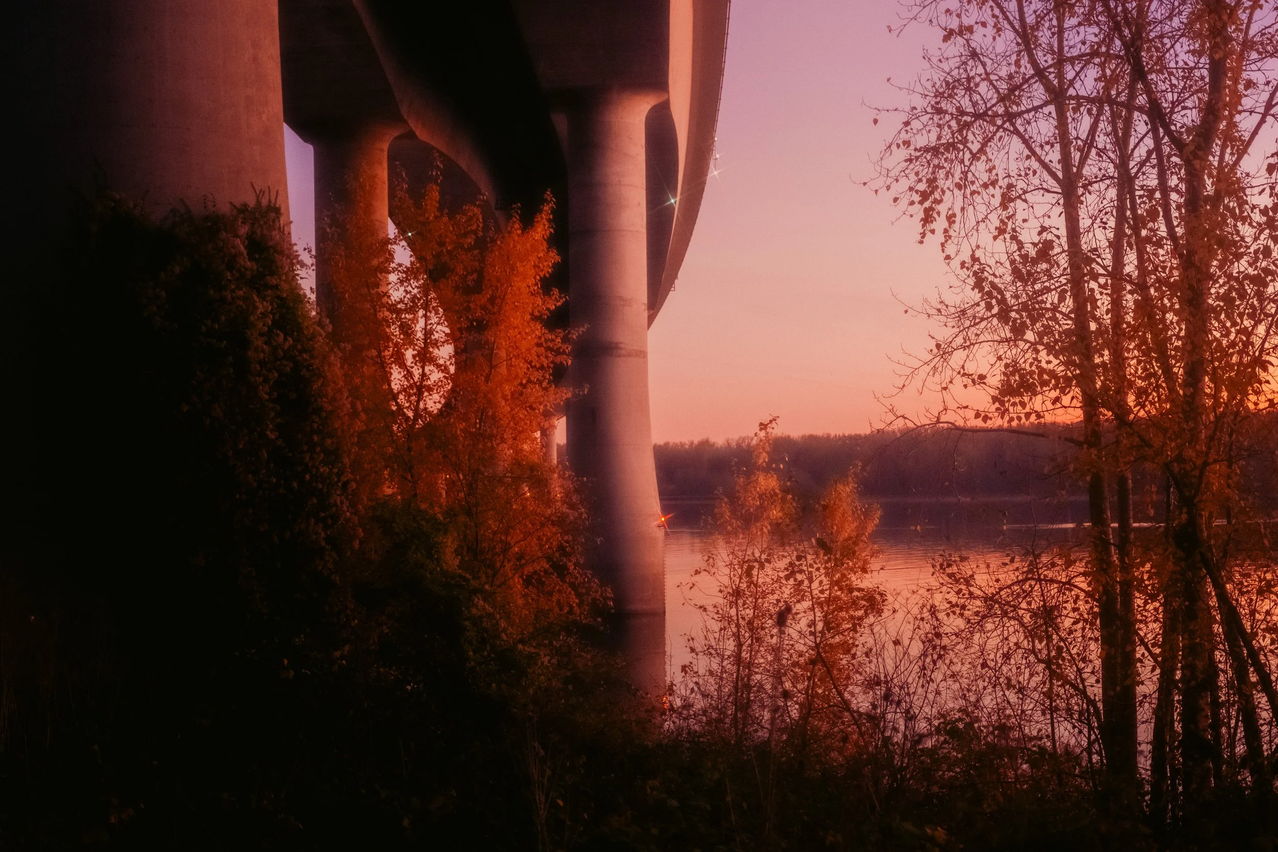 Cinematic, low-light photograph from "Sunset Blues" series by AJ Miranda, featuring a bloomy moon and silhouetted trees against a pink and orange Golden Hour skyscape.