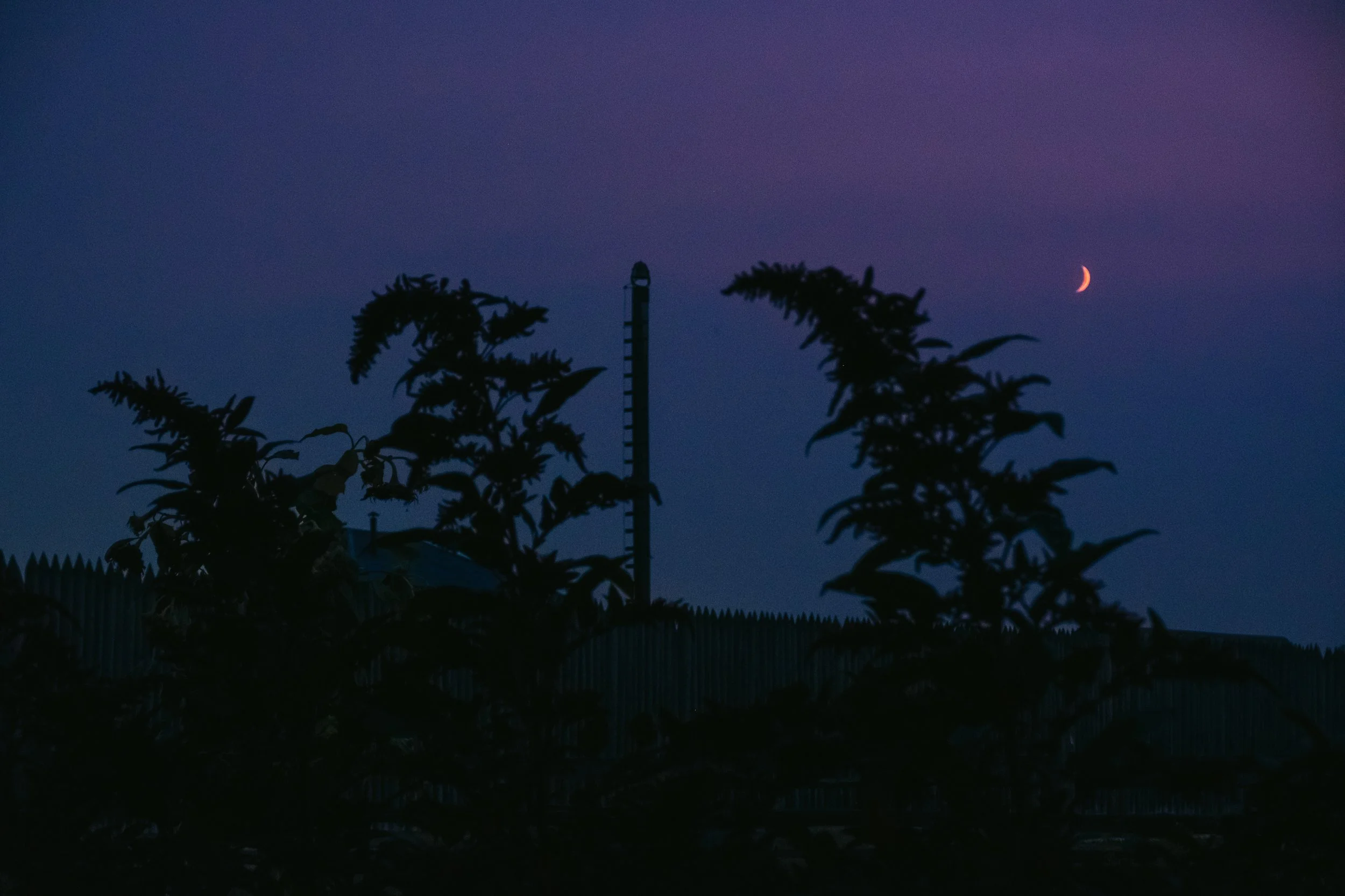Cinematic, low-light photograph from "Sunset Blues" series by AJ Miranda, featuring a bloomy moon and silhouetted trees against a pink and orange Golden Hour skyscape.