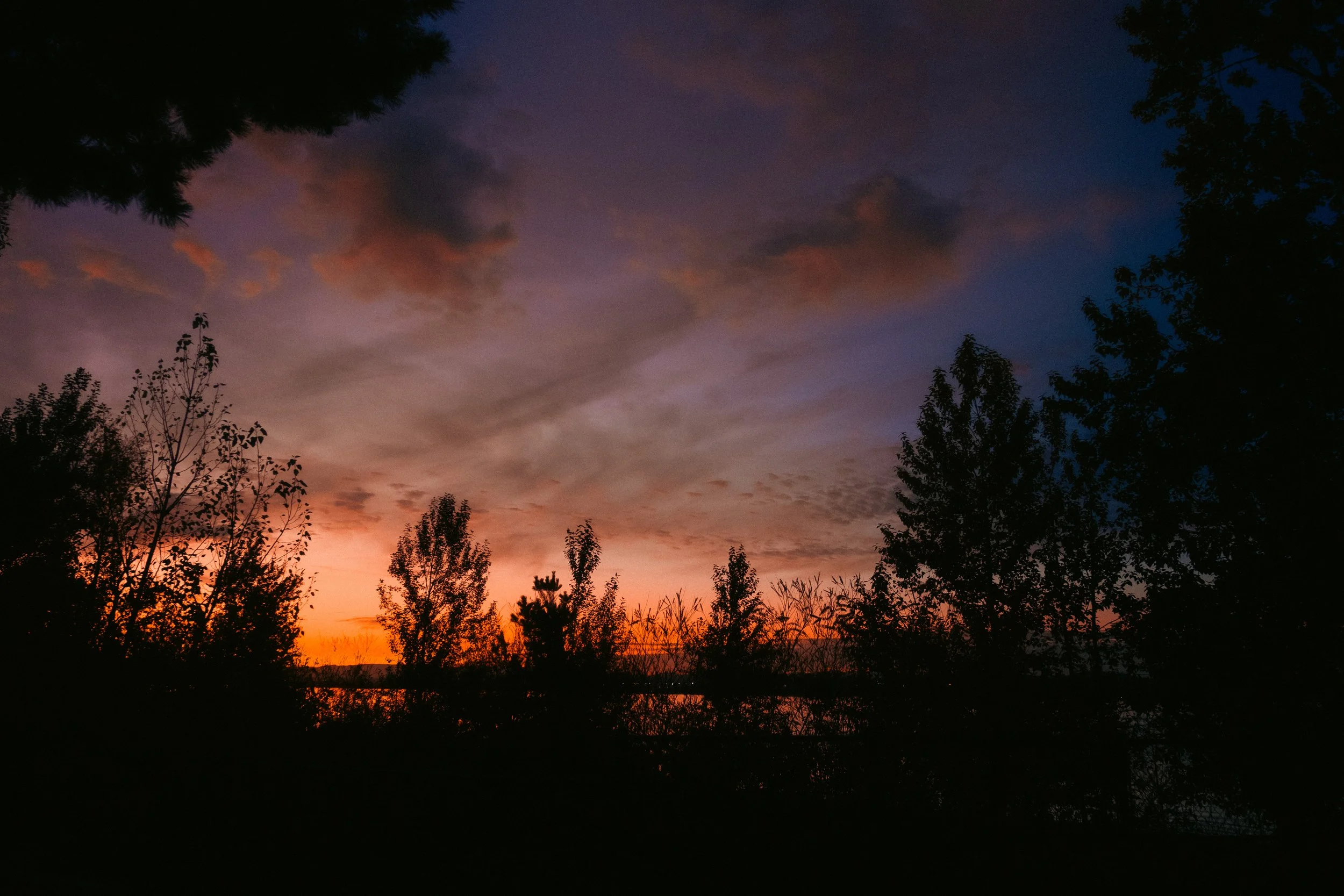 Cinematic, low-light photograph from "Sunset Blues" series by AJ Miranda, featuring a bloomy moon and silhouetted trees against a pink and orange Golden Hour skyscape.