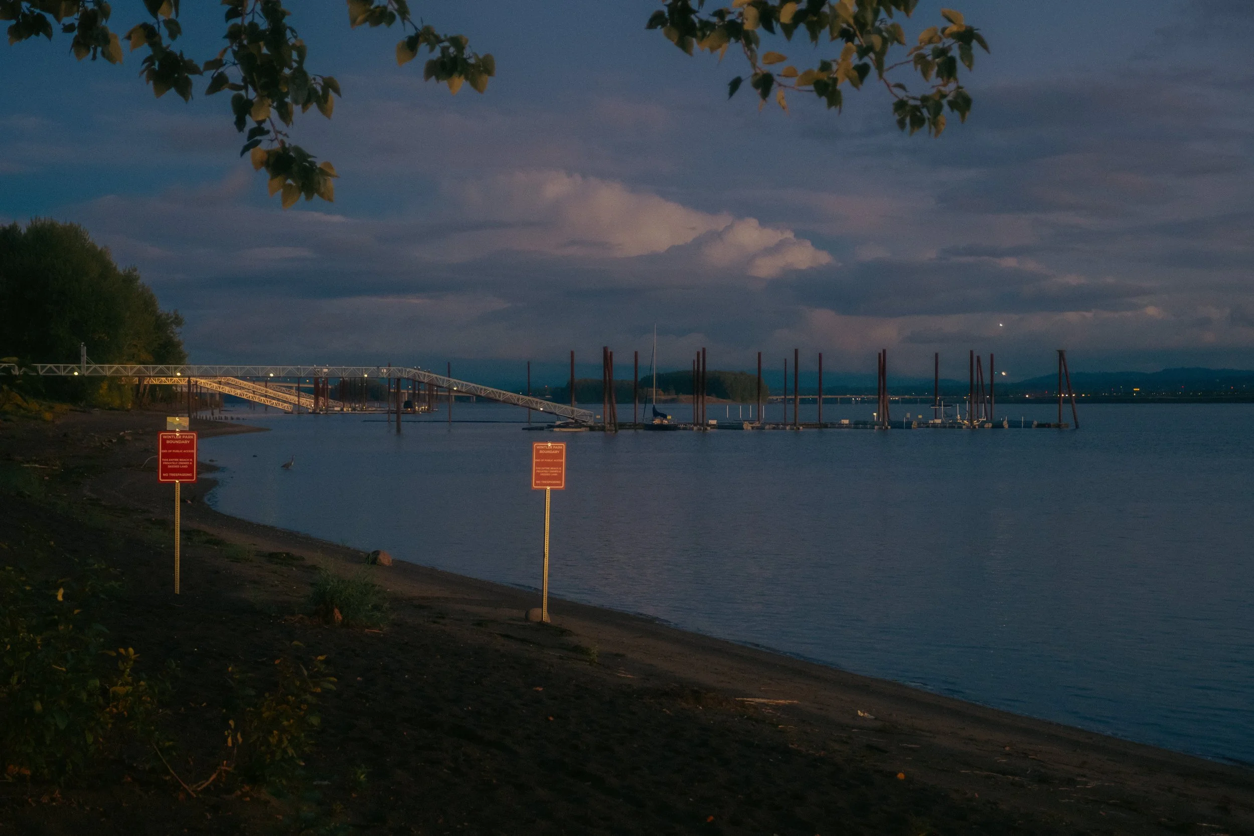 Cinematic, low-light photograph from "Sunset Blues" series by AJ Miranda, featuring a bloomy moon and silhouetted trees against a pink and orange Golden Hour skyscape.