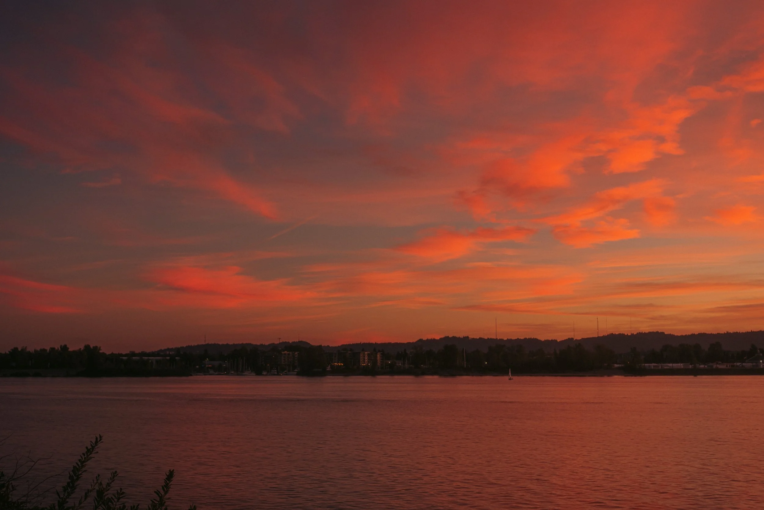 Cinematic, low-light photograph from "Sunset Blues" series by AJ Miranda, featuring a bloomy moon and silhouetted trees against a pink and orange Golden Hour skyscape.