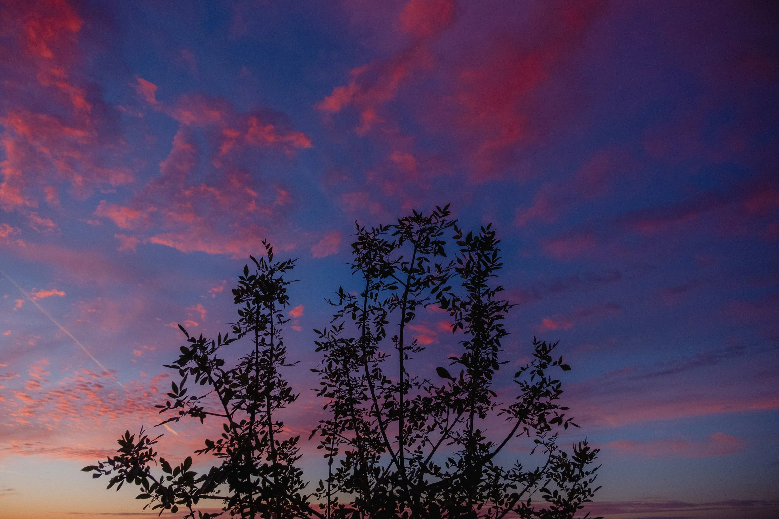 Cinematic, low-light photograph from "Sunset Blues" series by AJ Miranda, featuring a bloomy moon and silhouetted trees against a pink and orange Golden Hour skyscape.