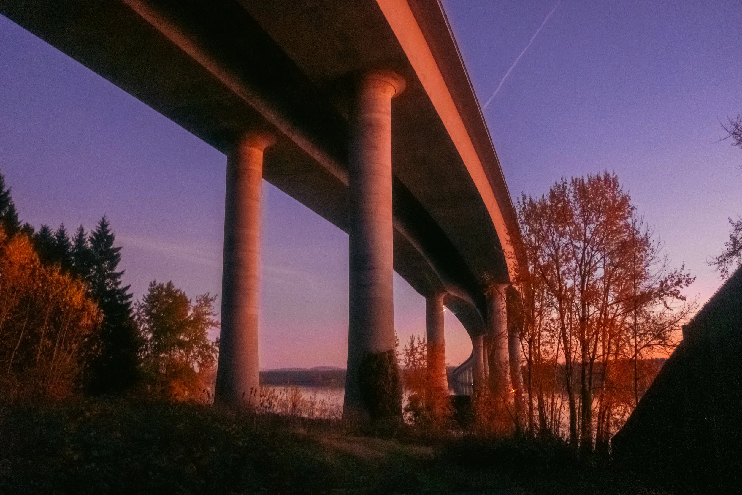 Cinematic, low-light photograph from "Sunset Blues" series by AJ Miranda, featuring a bloomy moon and silhouetted trees against a pink and orange Golden Hour skyscape.