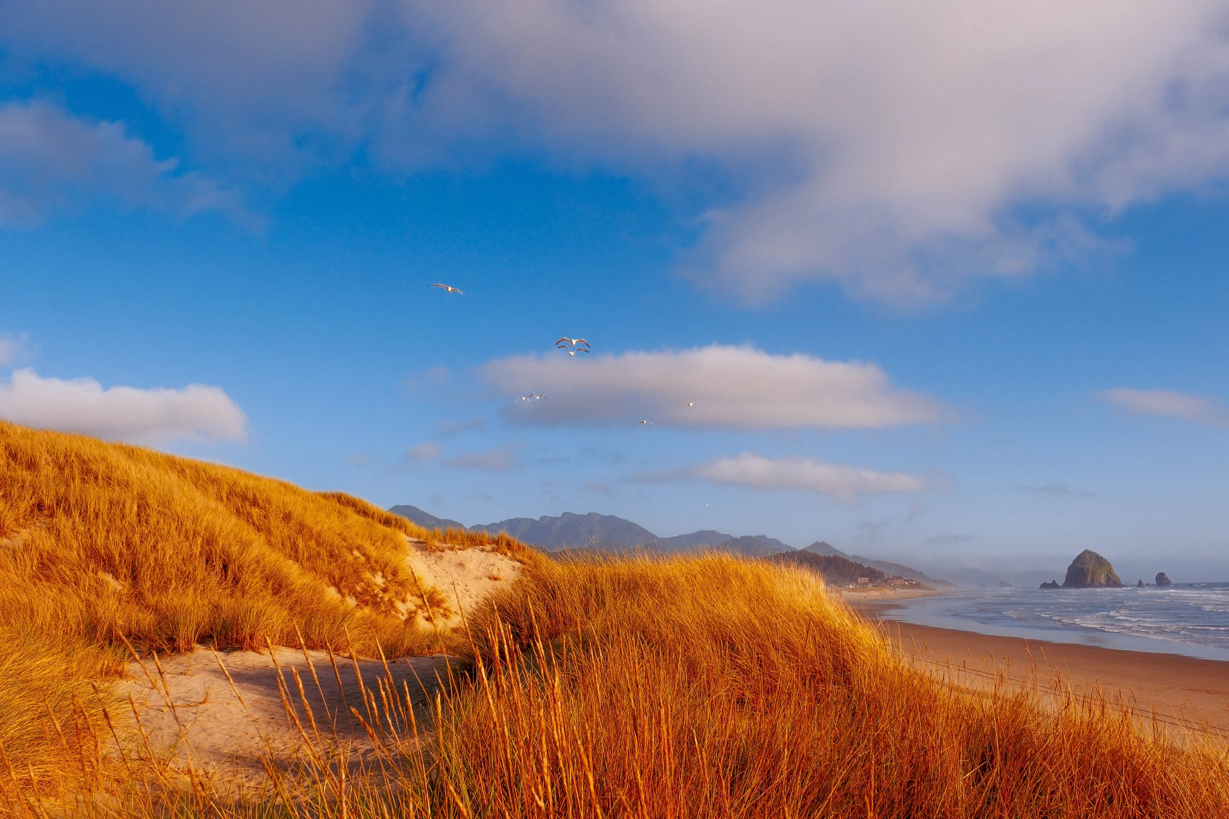 northern-lights-aurora-borealis-seaside-oregon-pacific-coast-may-2024-AJ-Miranda- Photography-MirandaMediaCo