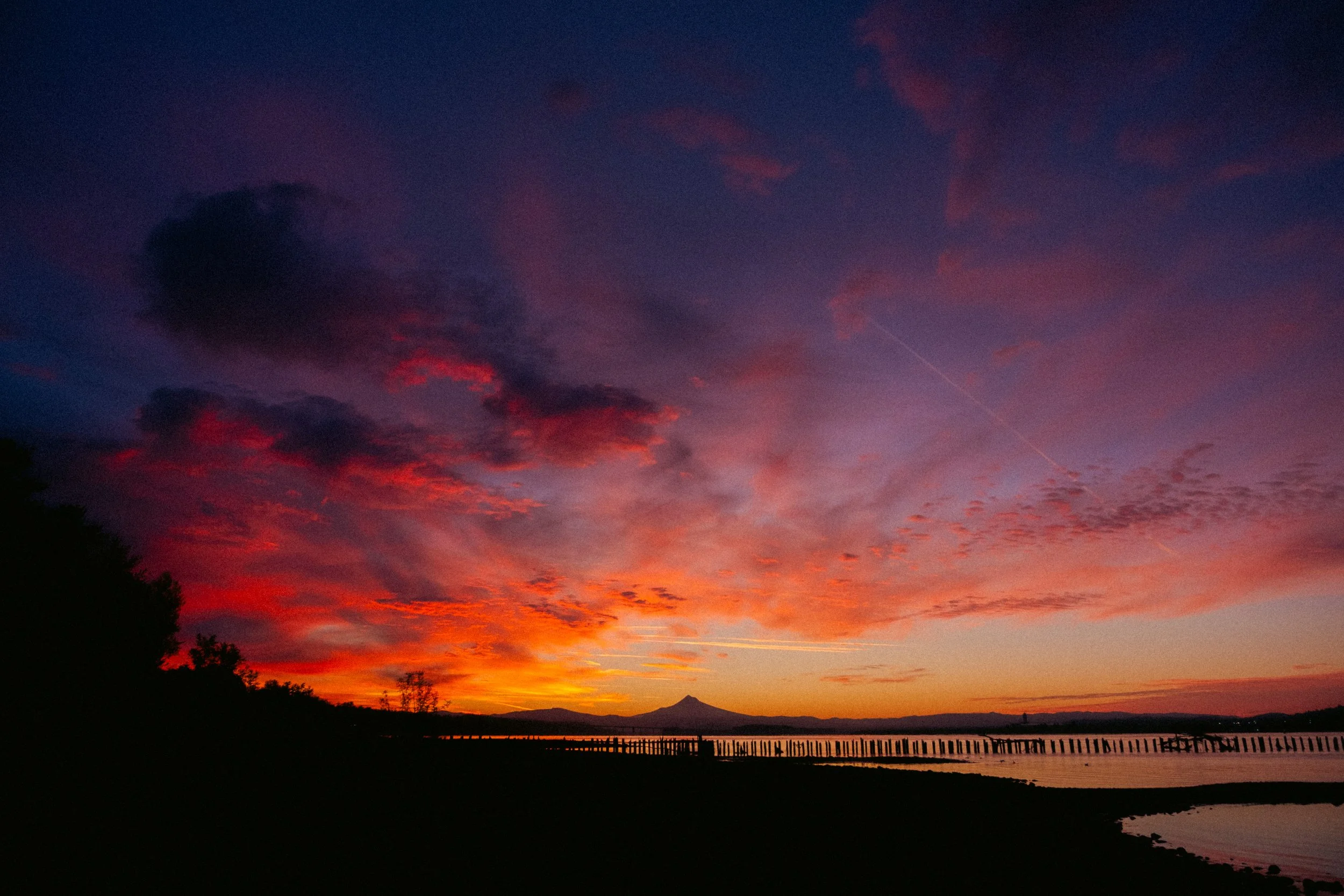 Cinematic, low-light photograph from "Sunset Blues" series by AJ Miranda, featuring a bloomy moon and silhouetted trees against a pink and orange Golden Hour skyscape.