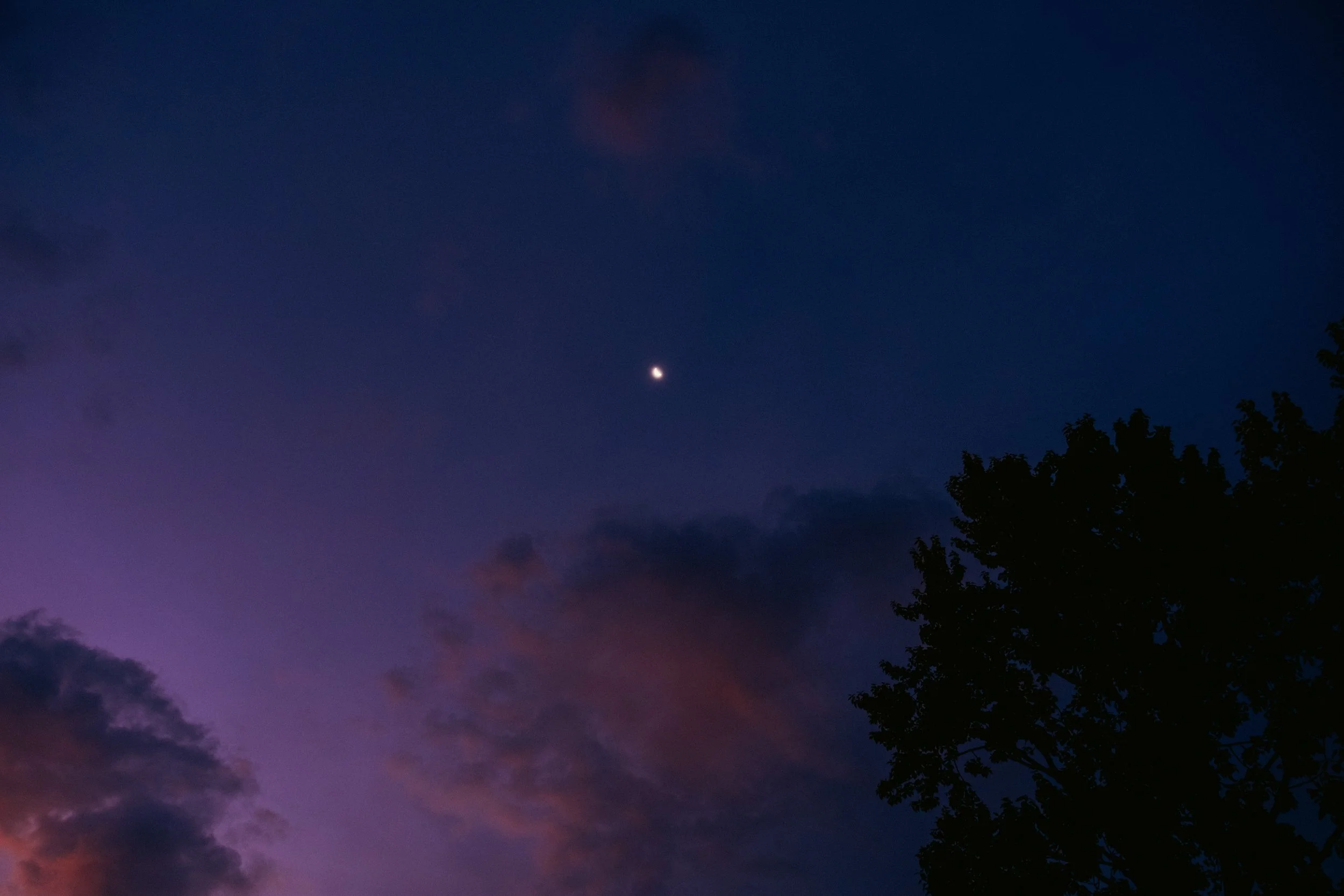 Cinematic, low-light photograph from "Sunset Blues" series by AJ Miranda, featuring a bloomy moon and silhouetted trees against a pink and orange Golden Hour skyscape.