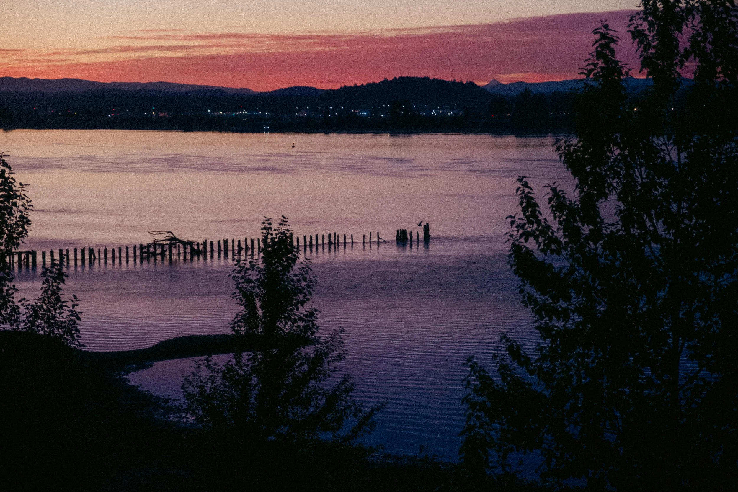 Cinematic, low-light photograph from "Sunset Blues" series by AJ Miranda, featuring a bloomy moon and silhouetted trees against a pink and orange Golden Hour skyscape.