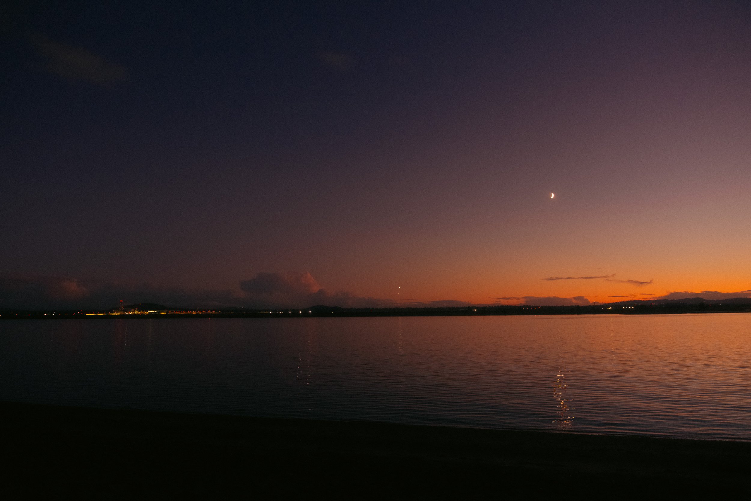 Cinematic, low-light photograph from "Sunset Blues" series by AJ Miranda, featuring a bloomy moon and silhouetted trees against a pink and orange Golden Hour skyscape.