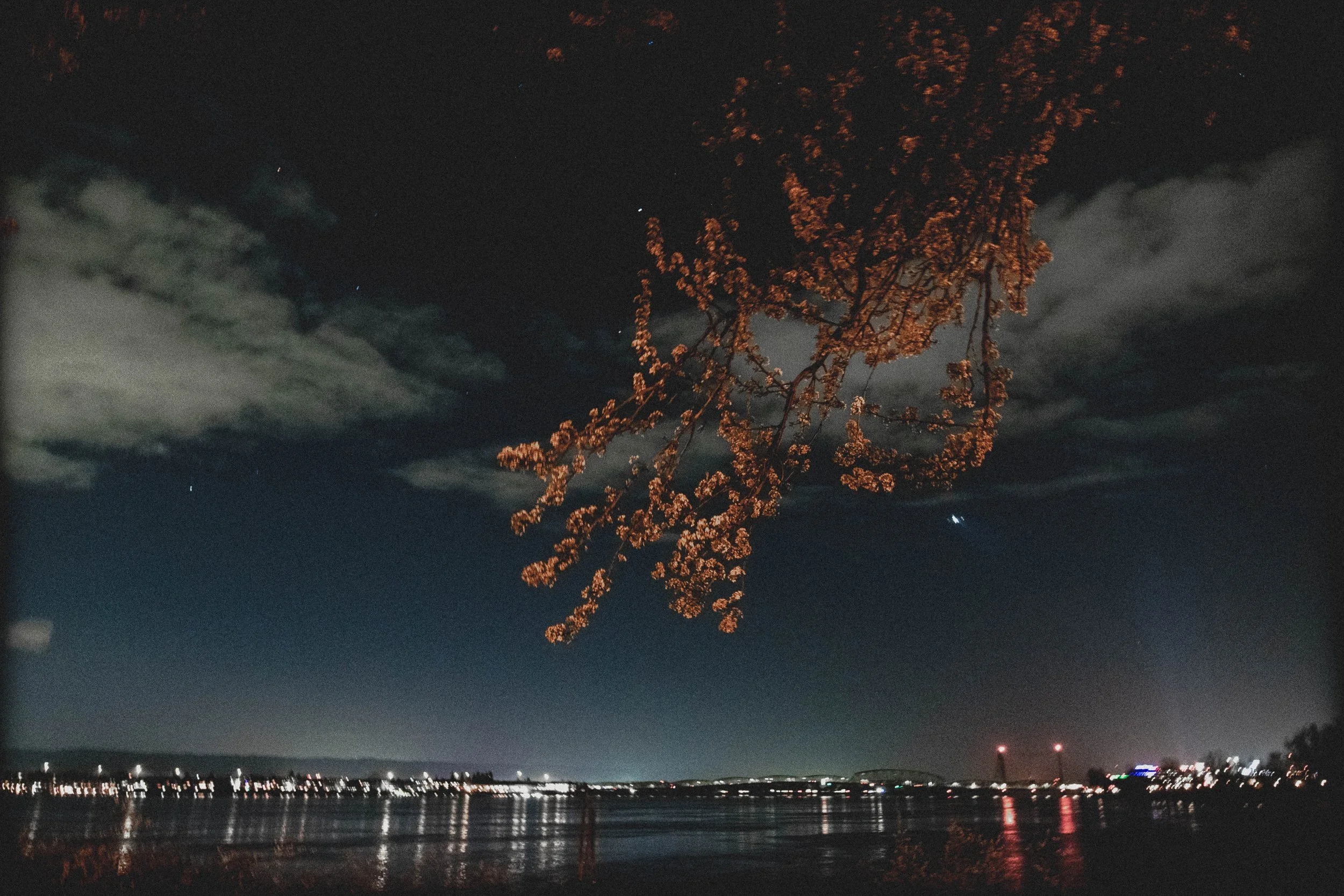 High-contrast candid flash photography of the EL Wedos band in Vancouver, WA. Unpolished style capturing authentic, unfiltered reality and personality against the dark, blooming PNW nature.
