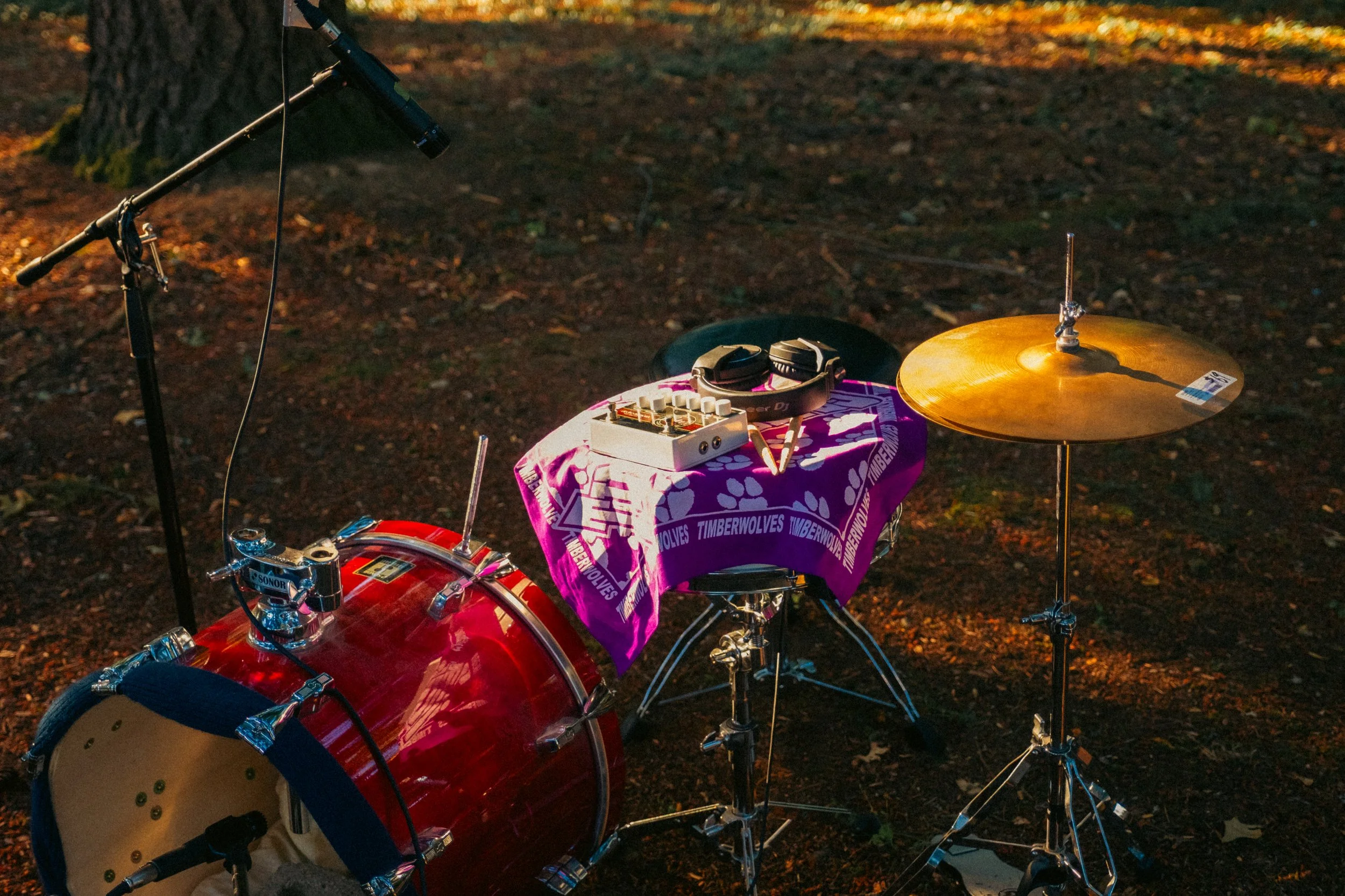 AJ Miranda Photography Candid, unpolished band photography from the Raw Reality series of EL Wedos, capturing genuine chaos using high-contrast dark flash in Vancouver, WA's deep PNW winter greens.