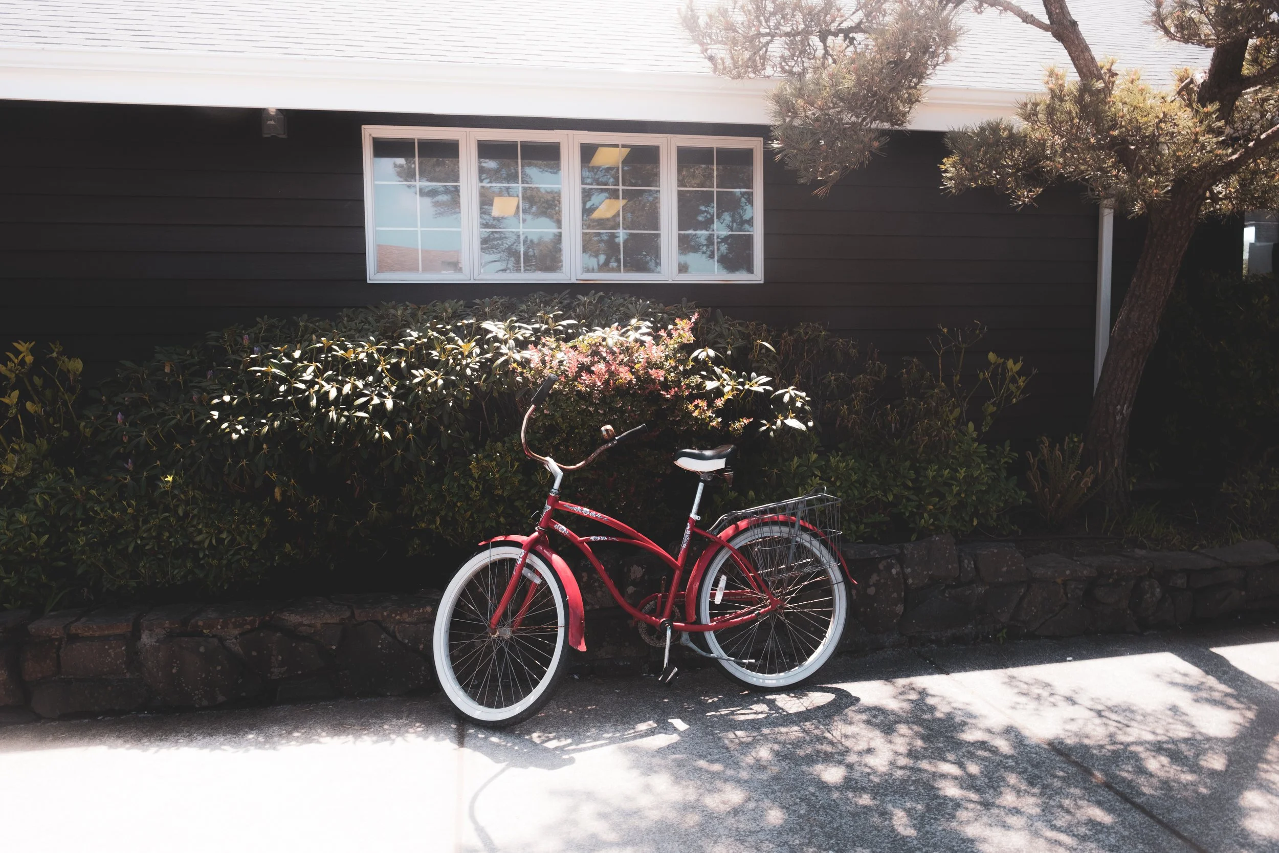 Bandon to canon beach trip 2021-313.jpg