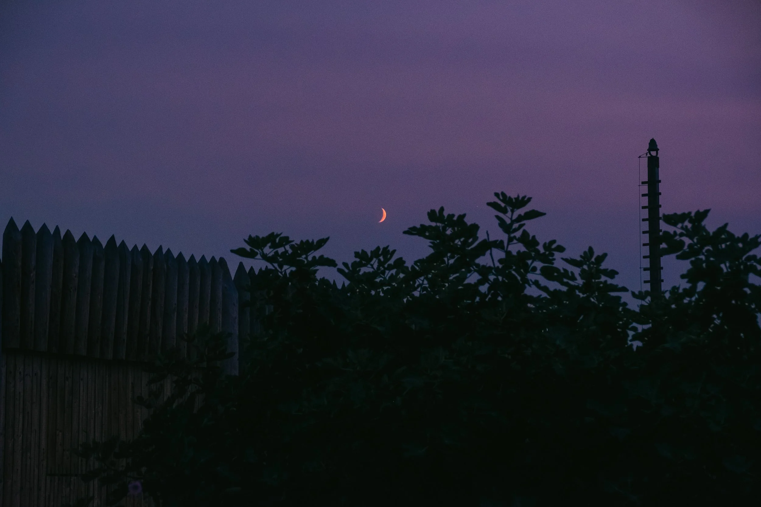 Cinematic, low-light photograph from "Sunset Blues" series by AJ Miranda, featuring a bloomy moon and silhouetted trees against a pink and orange Golden Hour skyscape.