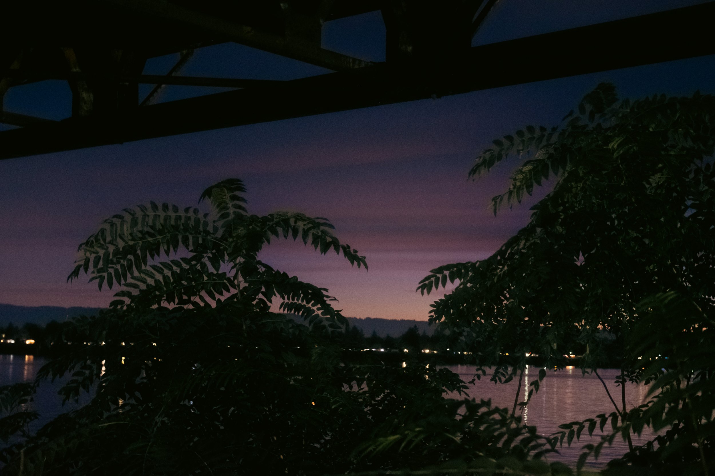 Cinematic, low-light photograph from "Sunset Blues" series by AJ Miranda, featuring a bloomy moon and silhouetted trees against a pink and orange Golden Hour skyscape.
