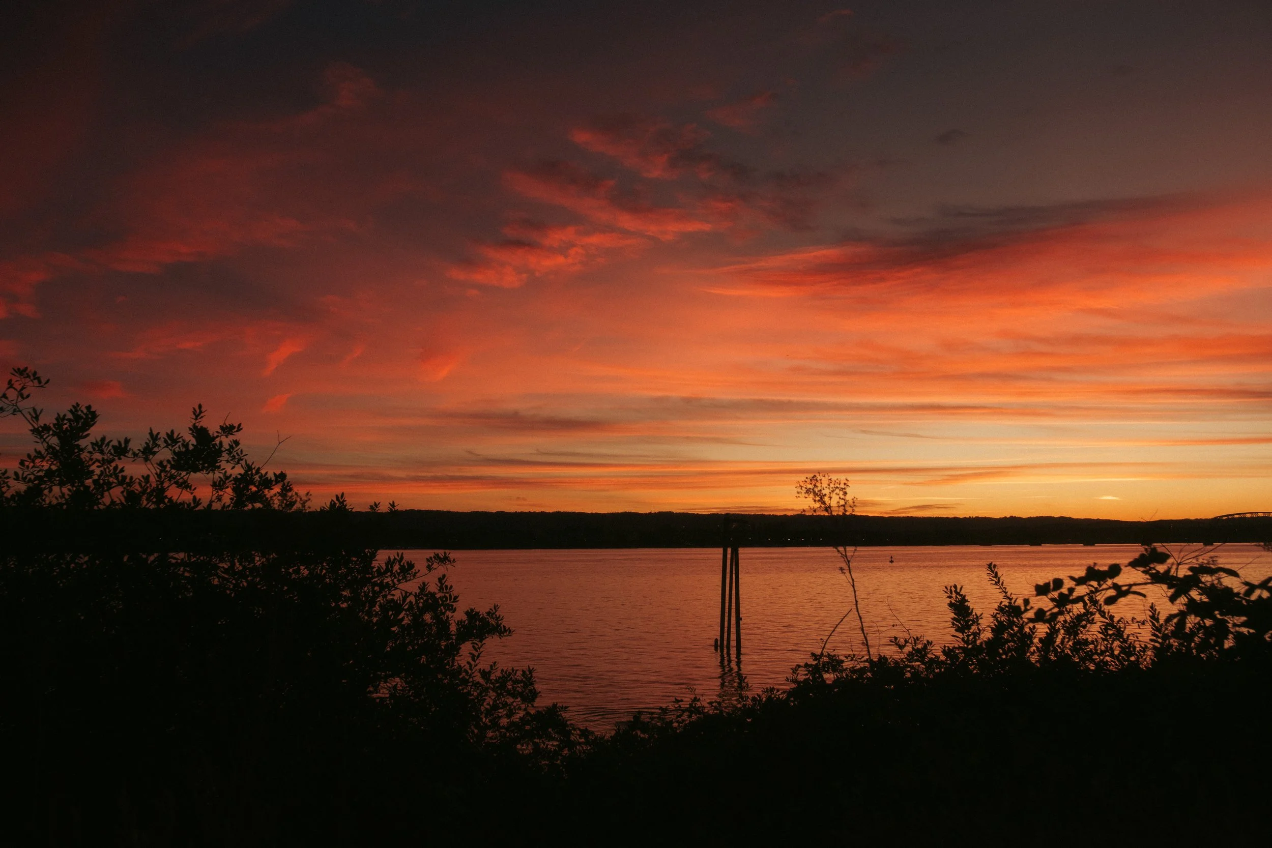 Cinematic, low-light photograph from "Sunset Blues" series by AJ Miranda, featuring a bloomy moon and silhouetted trees against a pink and orange Golden Hour skyscape.
