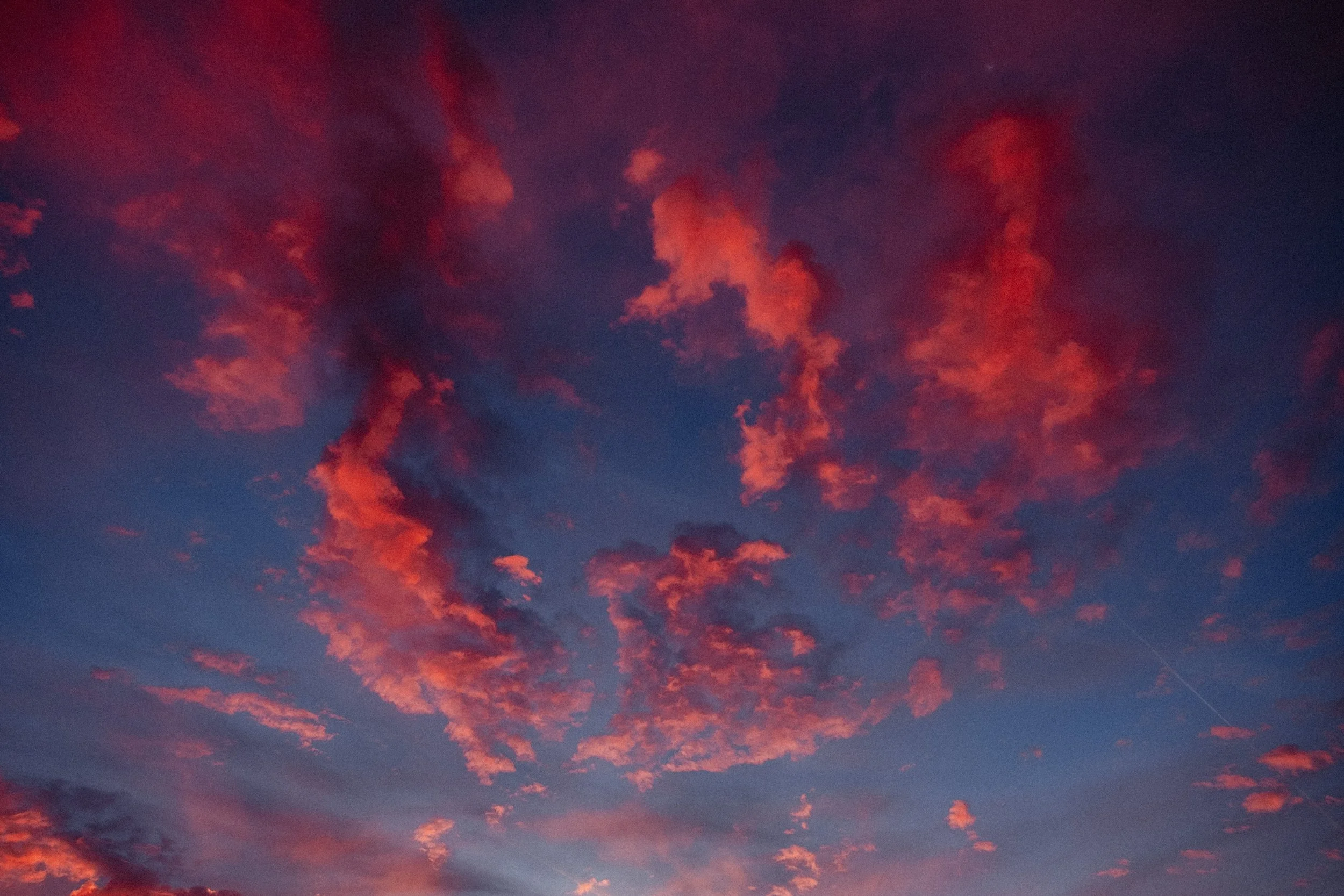 Cinematic, low-light photograph from "Sunset Blues" series by AJ Miranda, featuring a bloomy moon and silhouetted trees against a pink and orange Golden Hour skyscape.