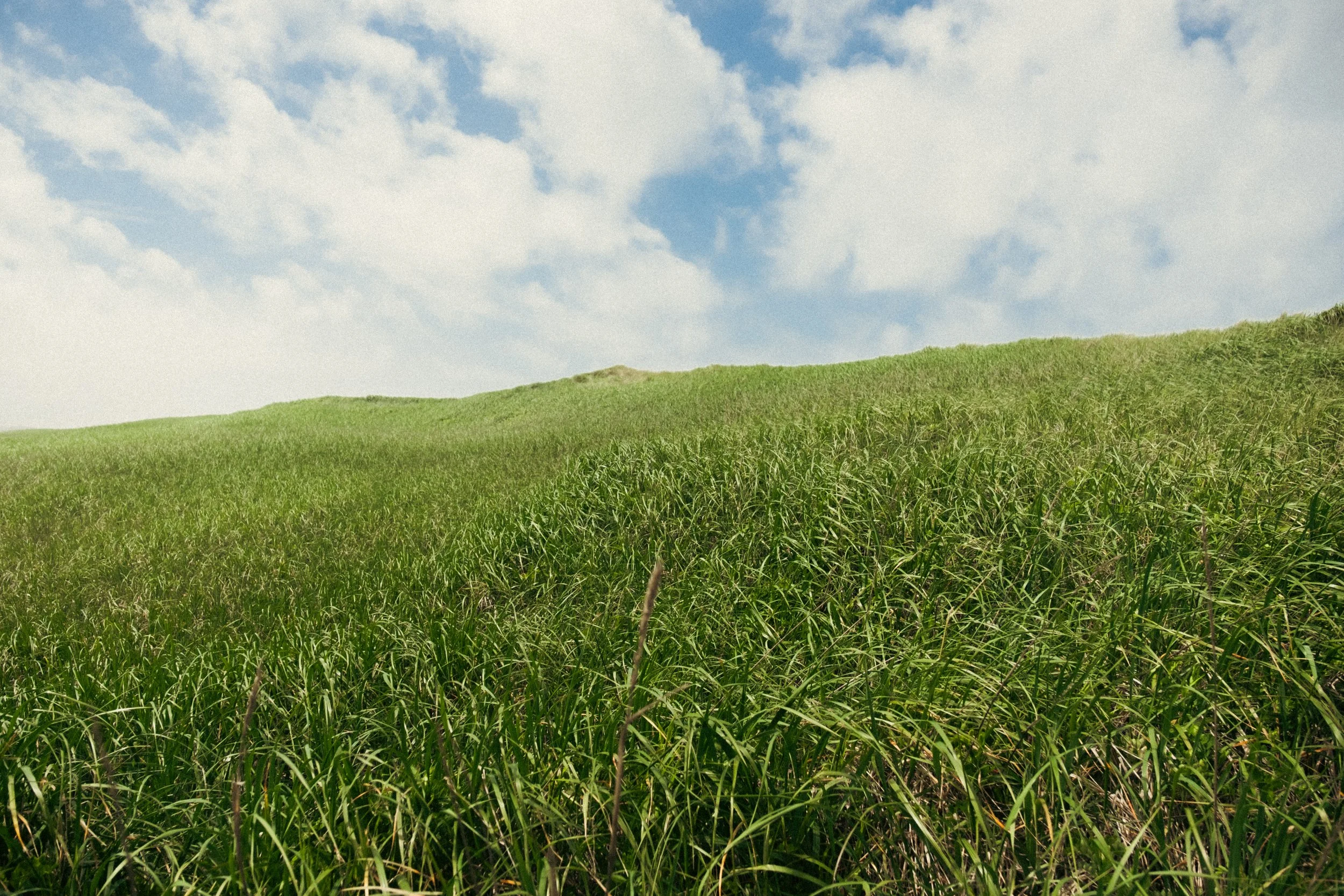 beach trip newport & pacific city 2024-30.jpg