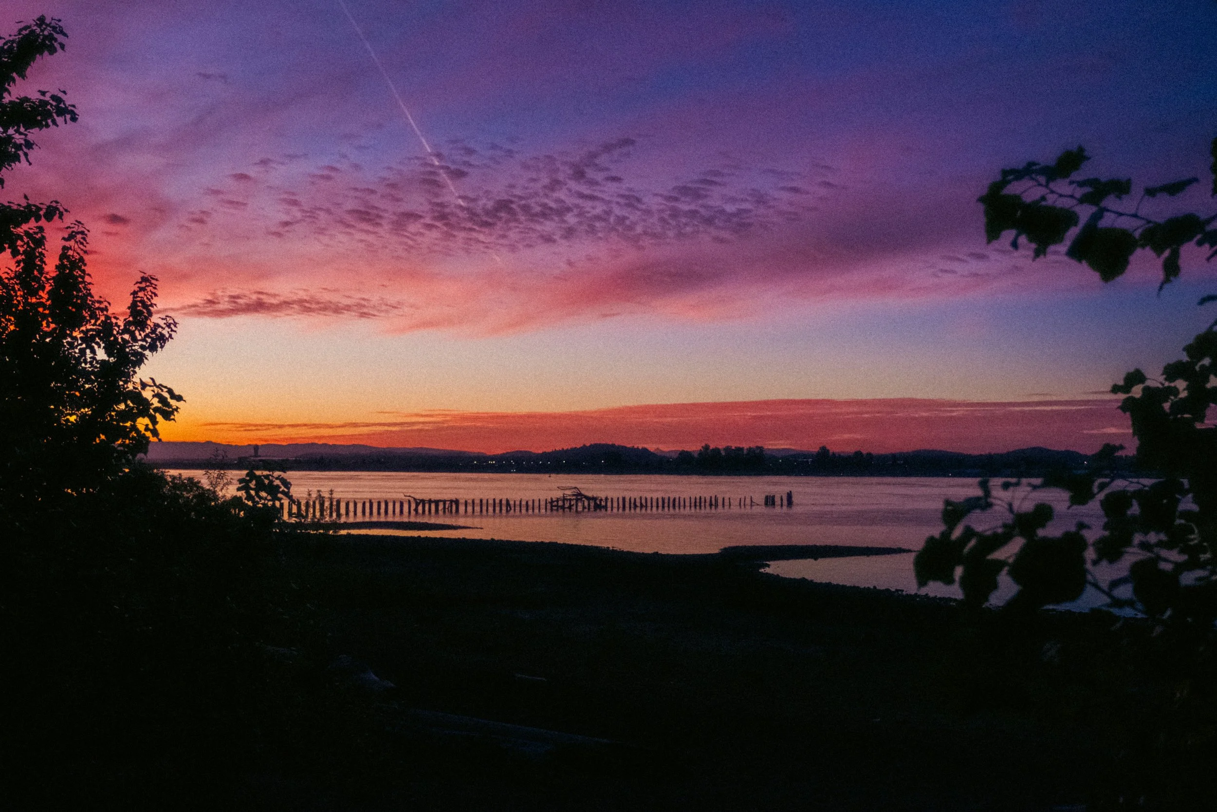 Cinematic, low-light photograph from "Sunset Blues" series by AJ Miranda, featuring a bloomy moon and silhouetted trees against a pink and orange Golden Hour skyscape.