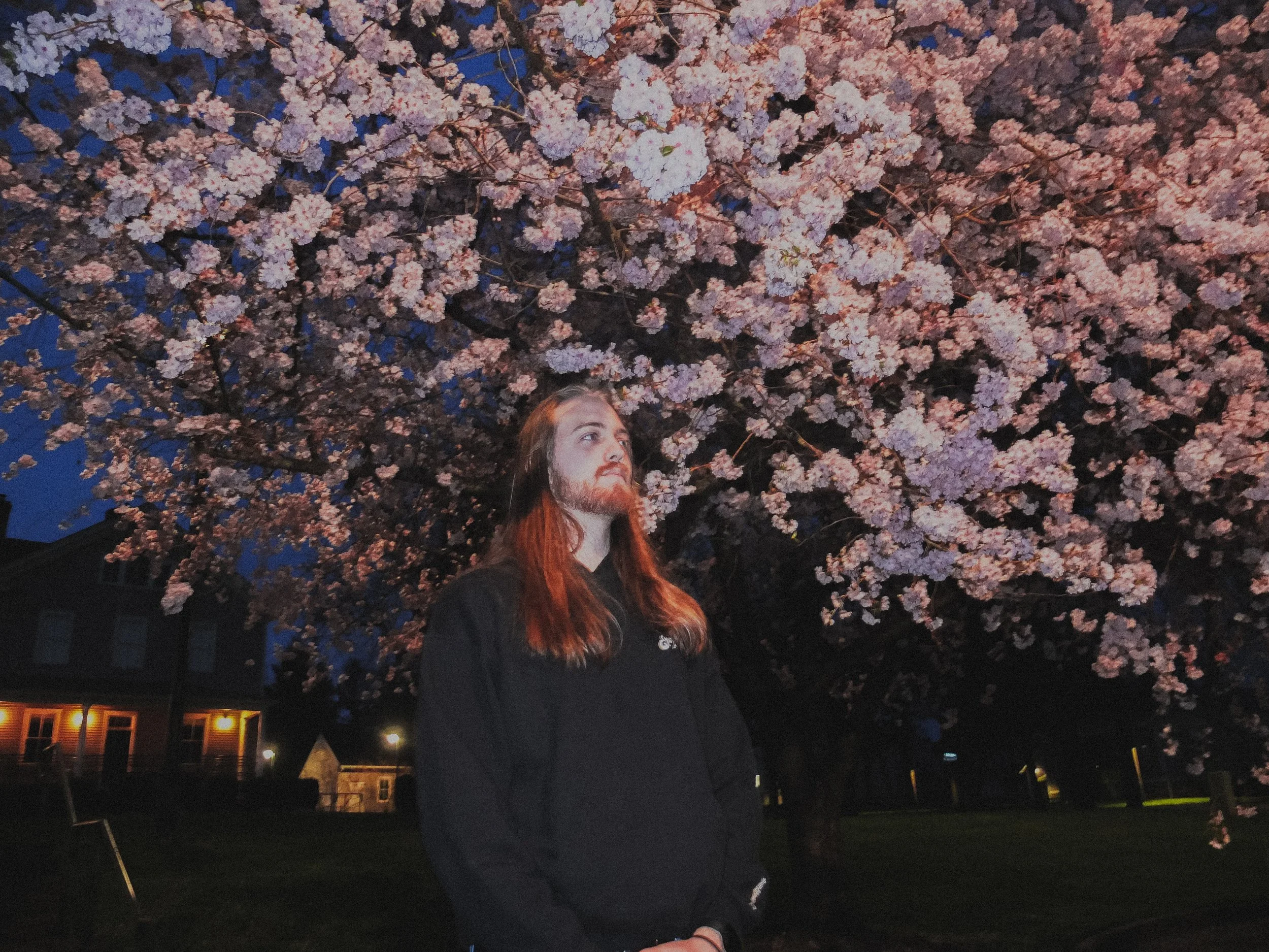 AJ Miranda Photography Candid, unpolished band photography from the Raw Reality series of EL Wedos, capturing genuine chaos using high-contrast dark flash in Vancouver, WA's deep PNW winter greens.