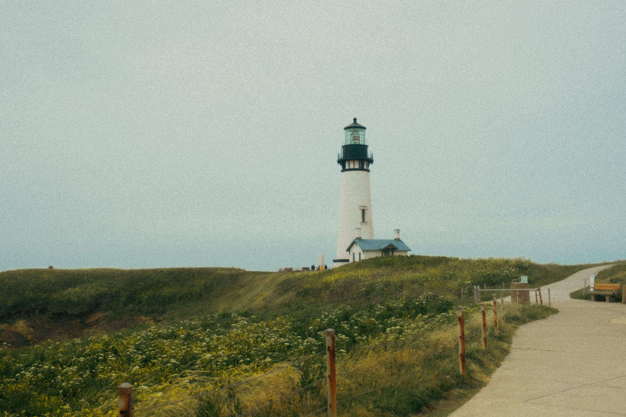 beach trip newport & pacific city 2024-77.jpg