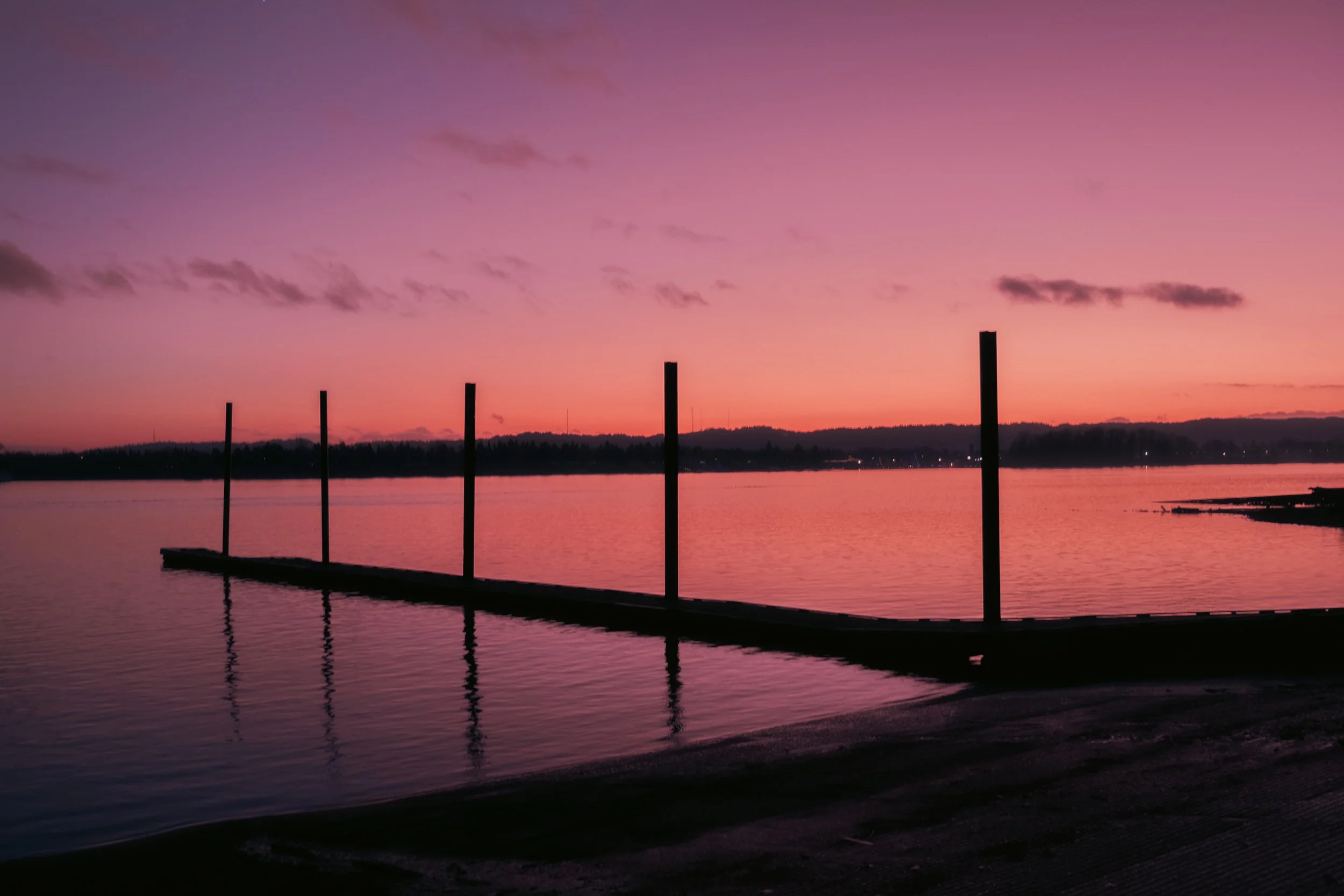 Cinematic, low-light photograph from "Sunset Blues" series by AJ Miranda, featuring a bloomy moon and silhouetted trees against a pink and orange Golden Hour skyscape.