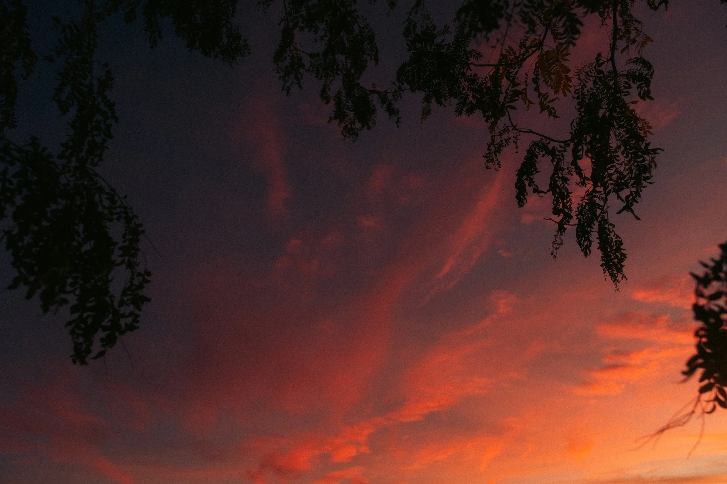 Cinematic, low-light photograph from "Sunset Blues" series by AJ Miranda, featuring a bloomy moon and silhouetted trees against a pink and orange Golden Hour skyscape.