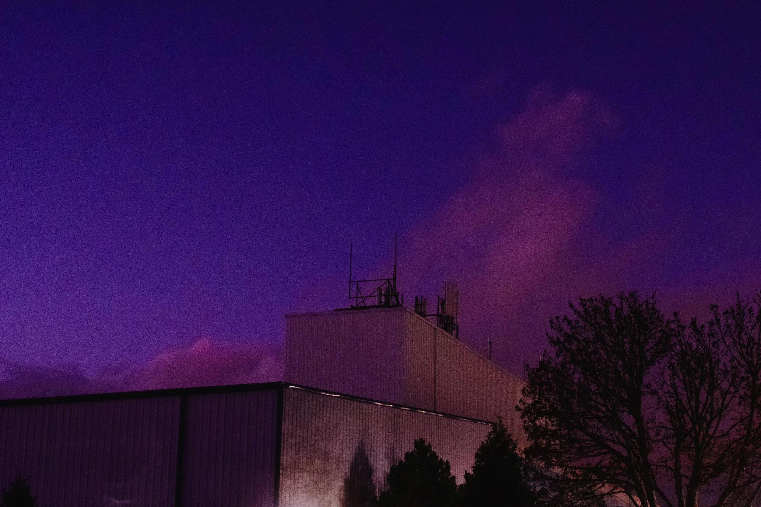 Cinematic, low-light photograph from "Sunset Blues" series by AJ Miranda, featuring a bloomy moon and silhouetted trees against a pink and orange Golden Hour skyscape.