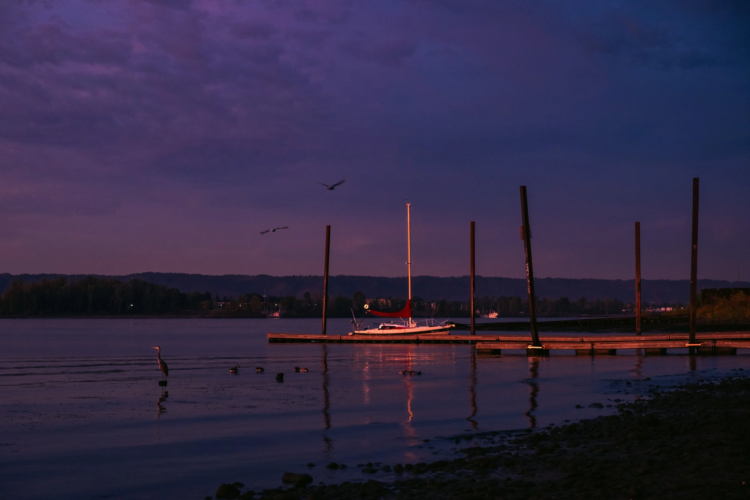 Cinematic, low-light photograph from "Sunset Blues" series by AJ Miranda, featuring a bloomy moon and silhouetted trees against a pink and orange Golden Hour skyscape.