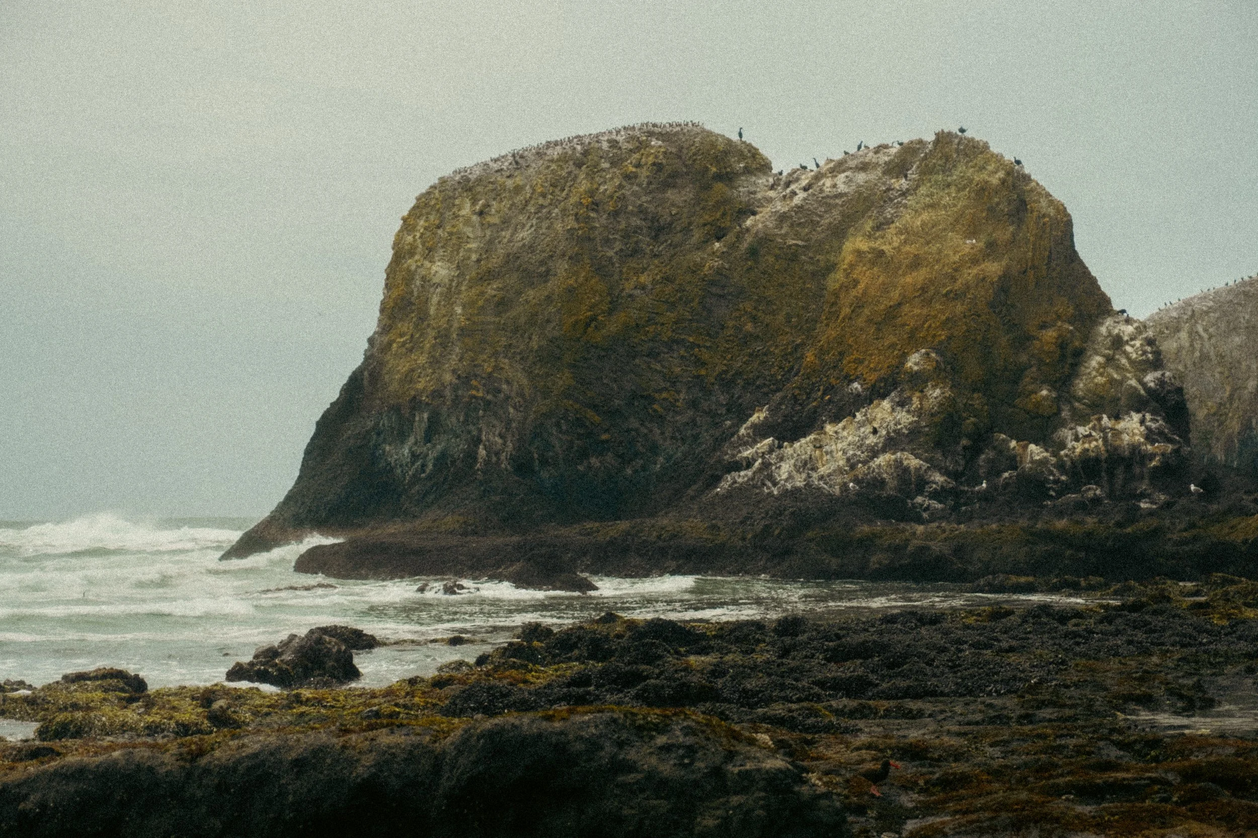 beach trip newport & pacific city 2024-71.jpg