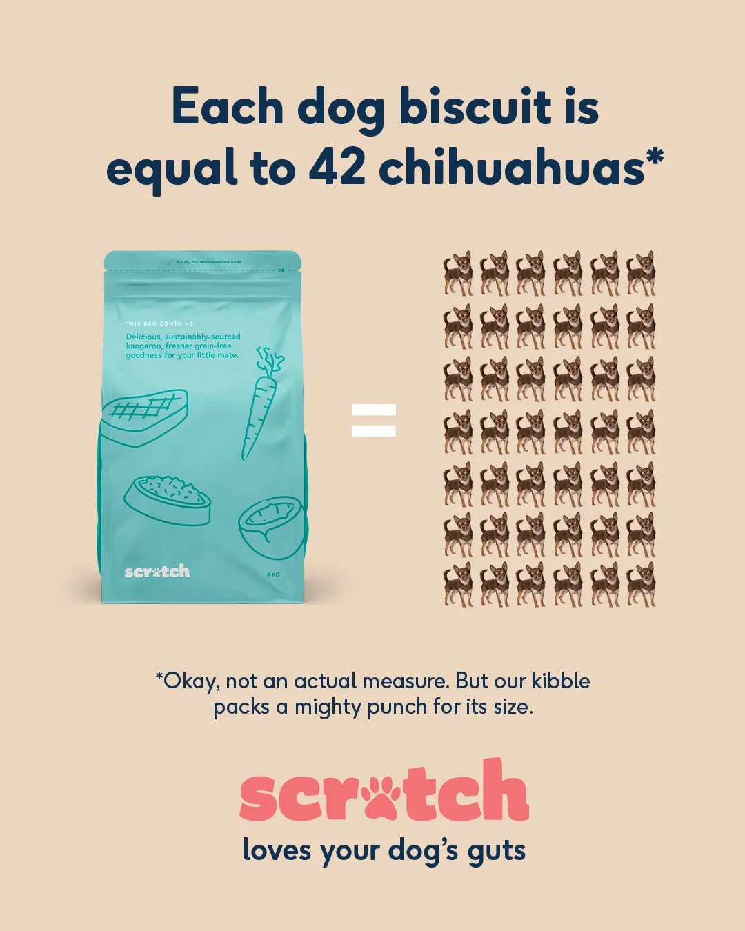 SMBM_Chihuahua1.jpg