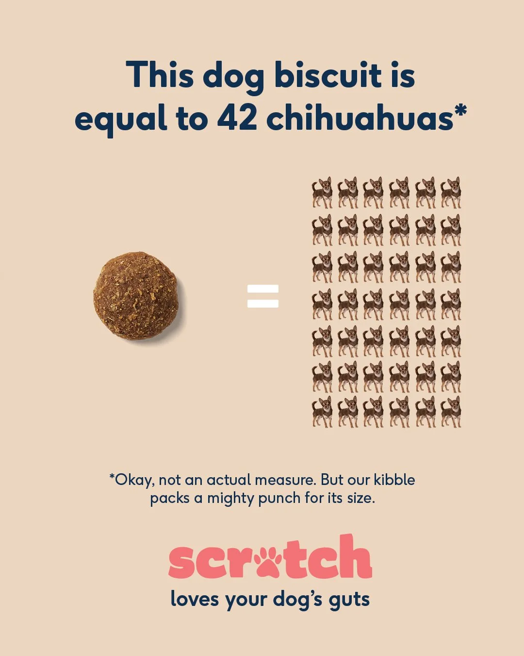 SMBM_Chihuahua3.jpg