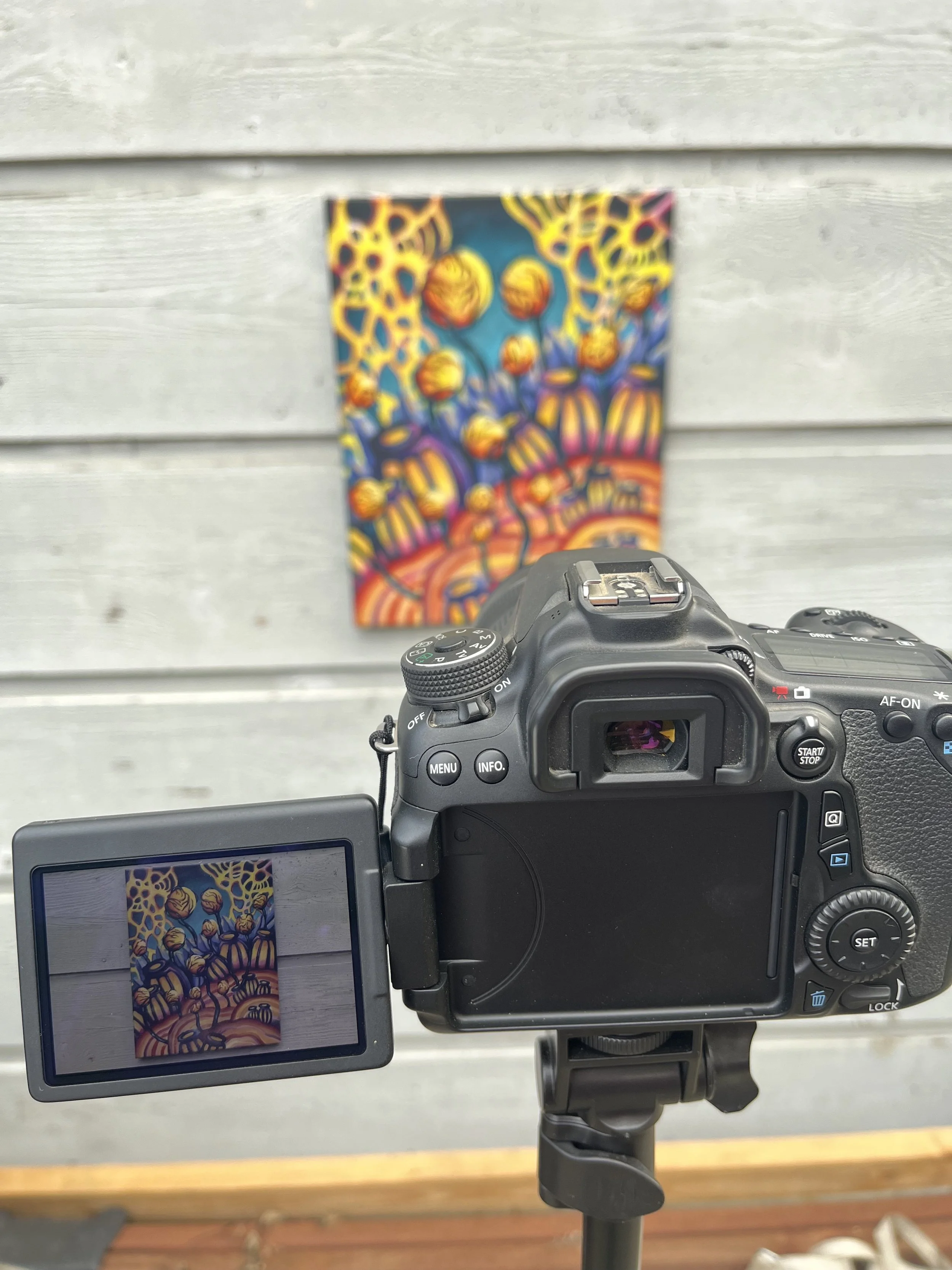 Why Did I Buy This Camera?