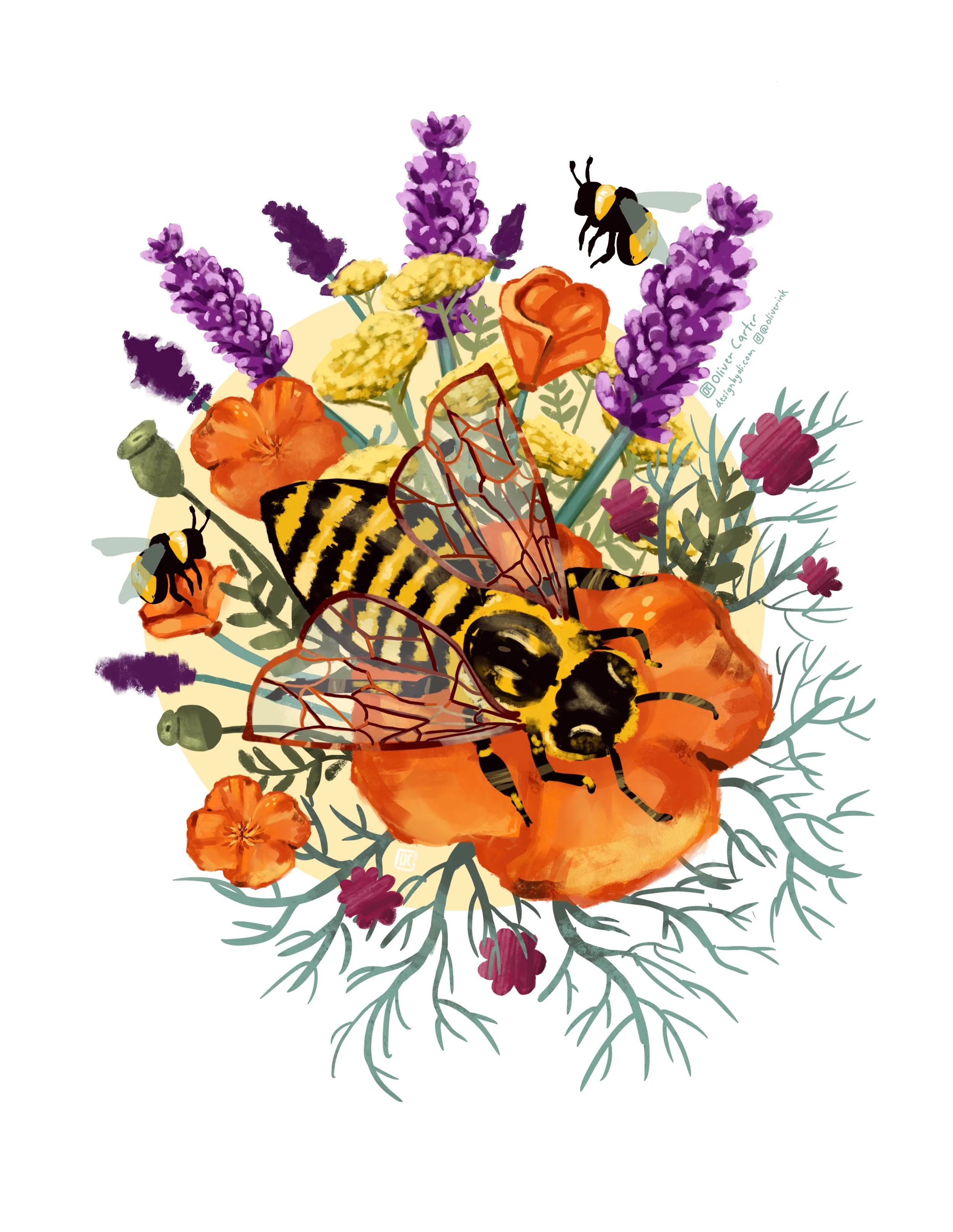 Untitled_Artwork 2 copy.jpg