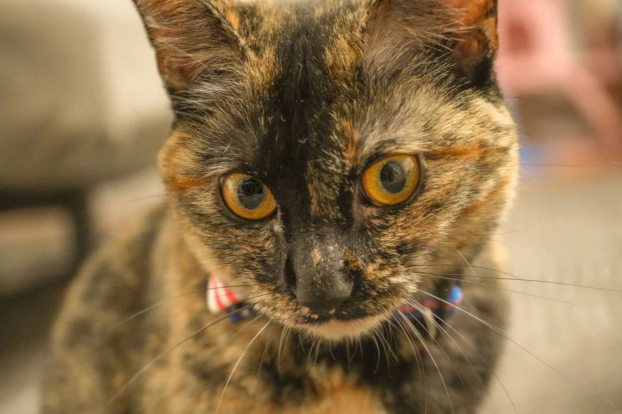 9b8968d6-2660-46cd-ab8d-8e053a7679e4 2.JPG