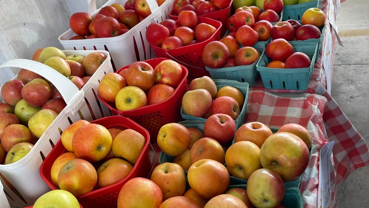 Postcard From North Carolina - November 2023