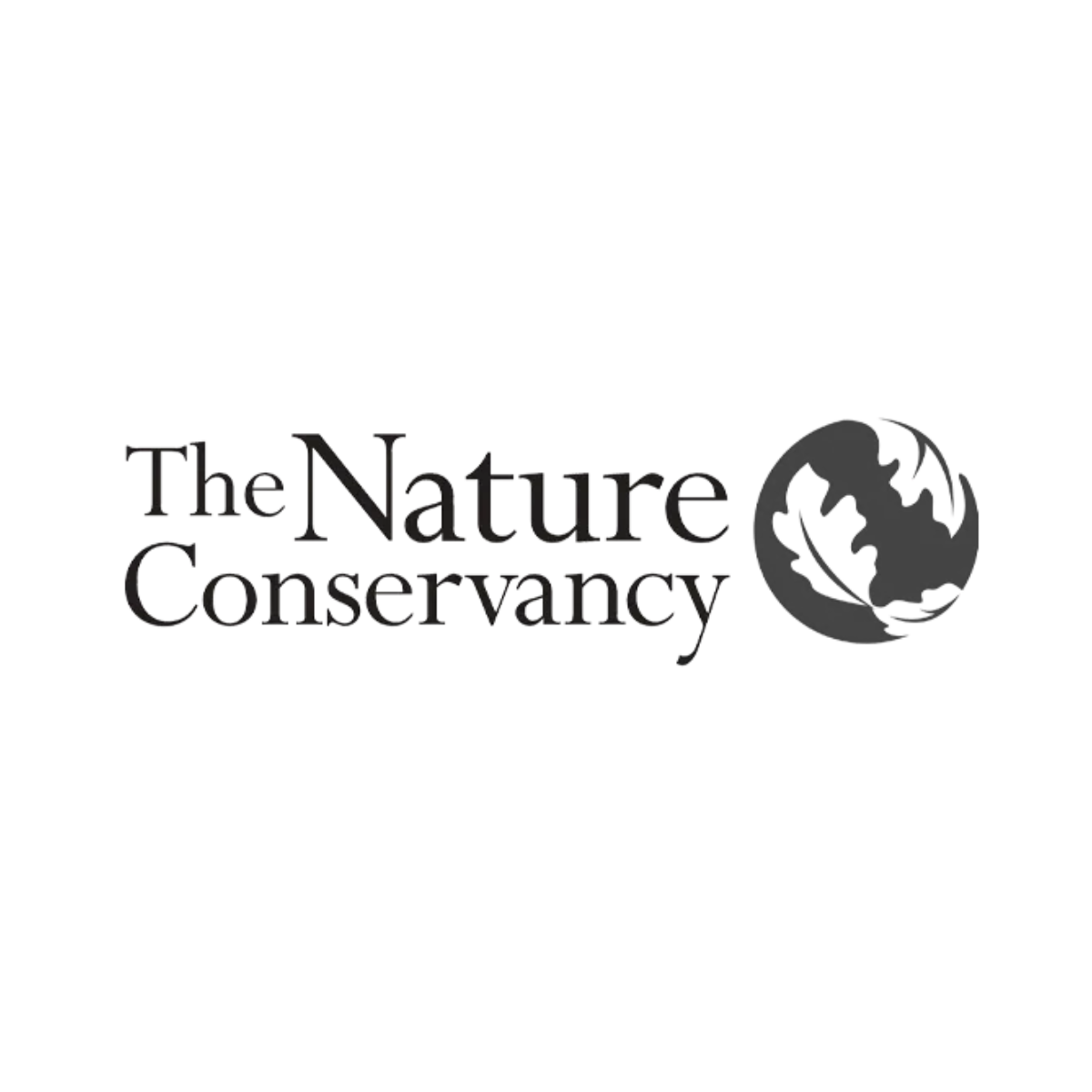 The logo for The Nature Conservancy, which features the organization's name in stylized text alongside a globe icon.