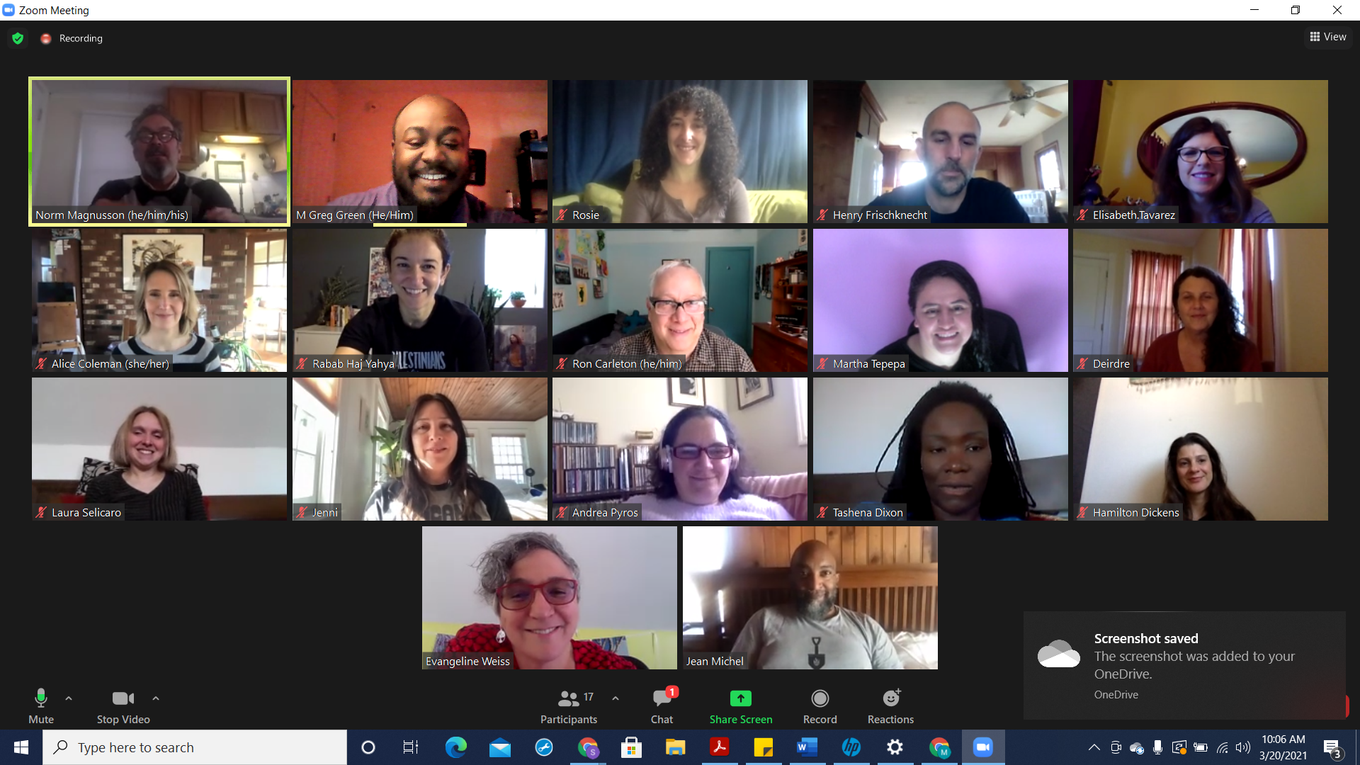 Screenshot of a Zoom video call with 17 participants, each visible in individual video windows. Participants are smiling and appear to be in various indoor settings with different backgrounds.